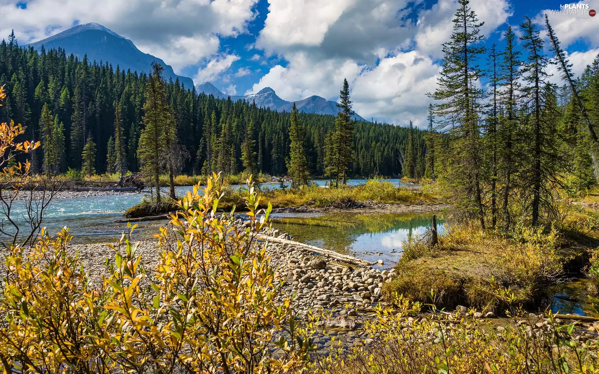 trees, River, clouds, Stones, Mountains, viewes, Plants