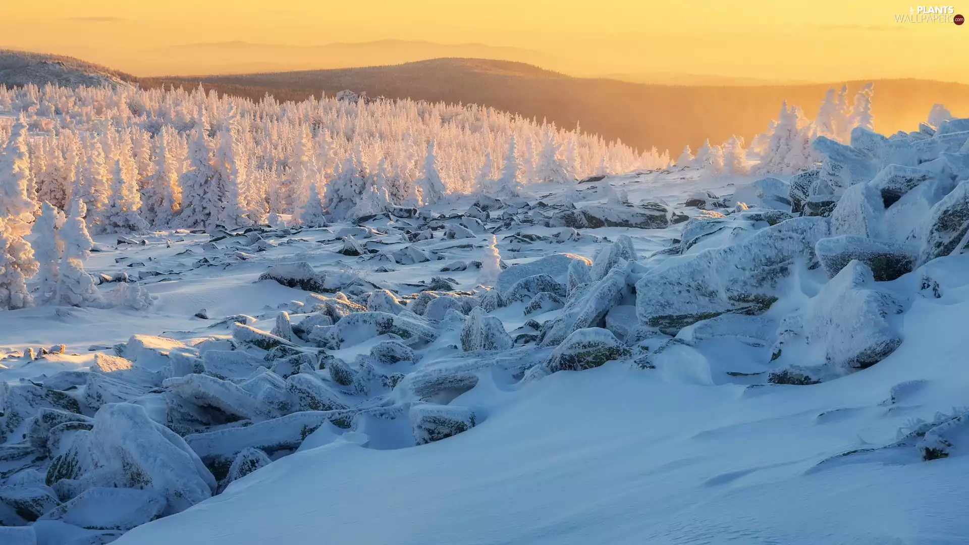 Snowy, trees, day, viewes, sunny, Mountains, winter, Stones