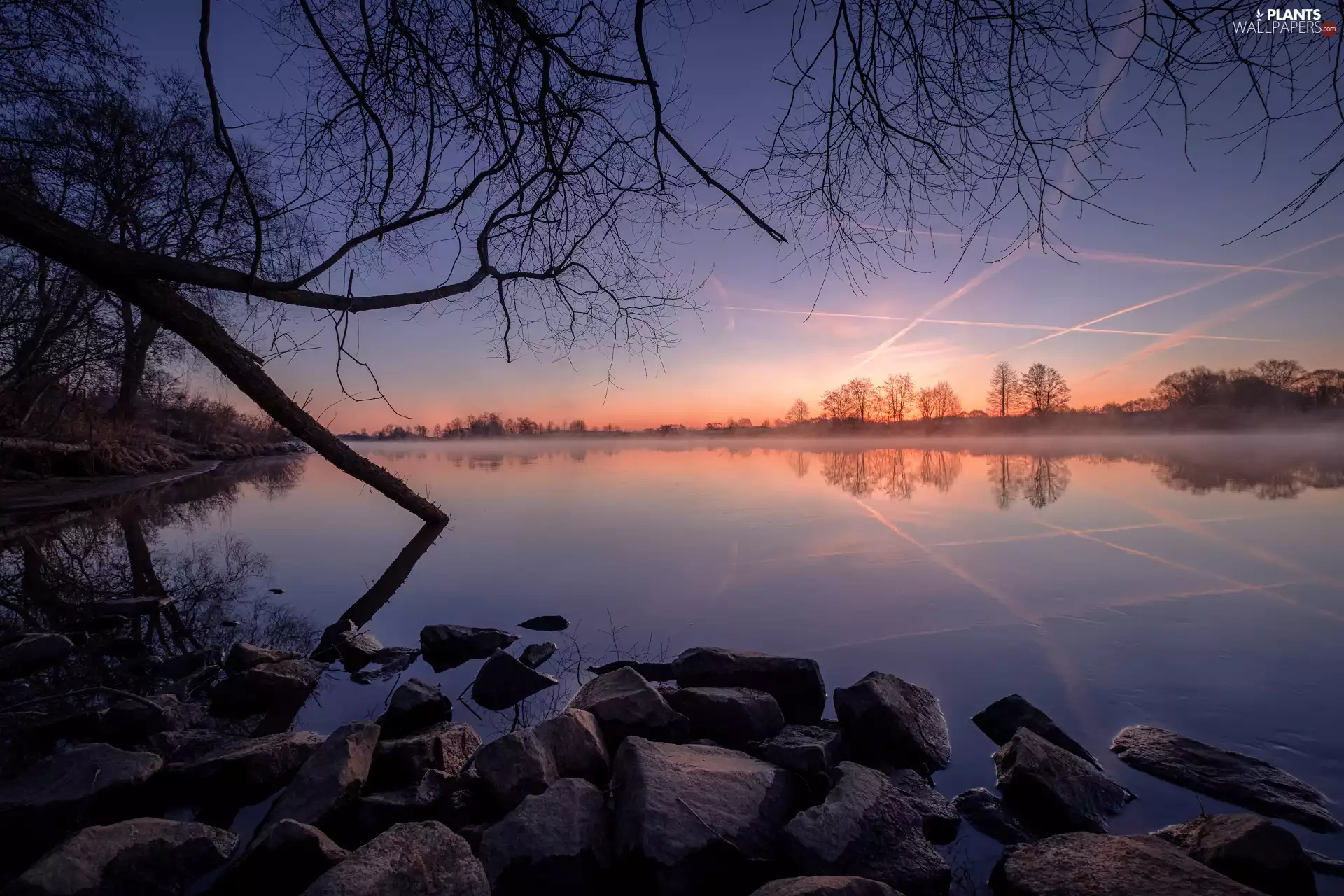 Stones, trees, Latvia, viewes, Latgale, coast, Dubna River, Sunrise
