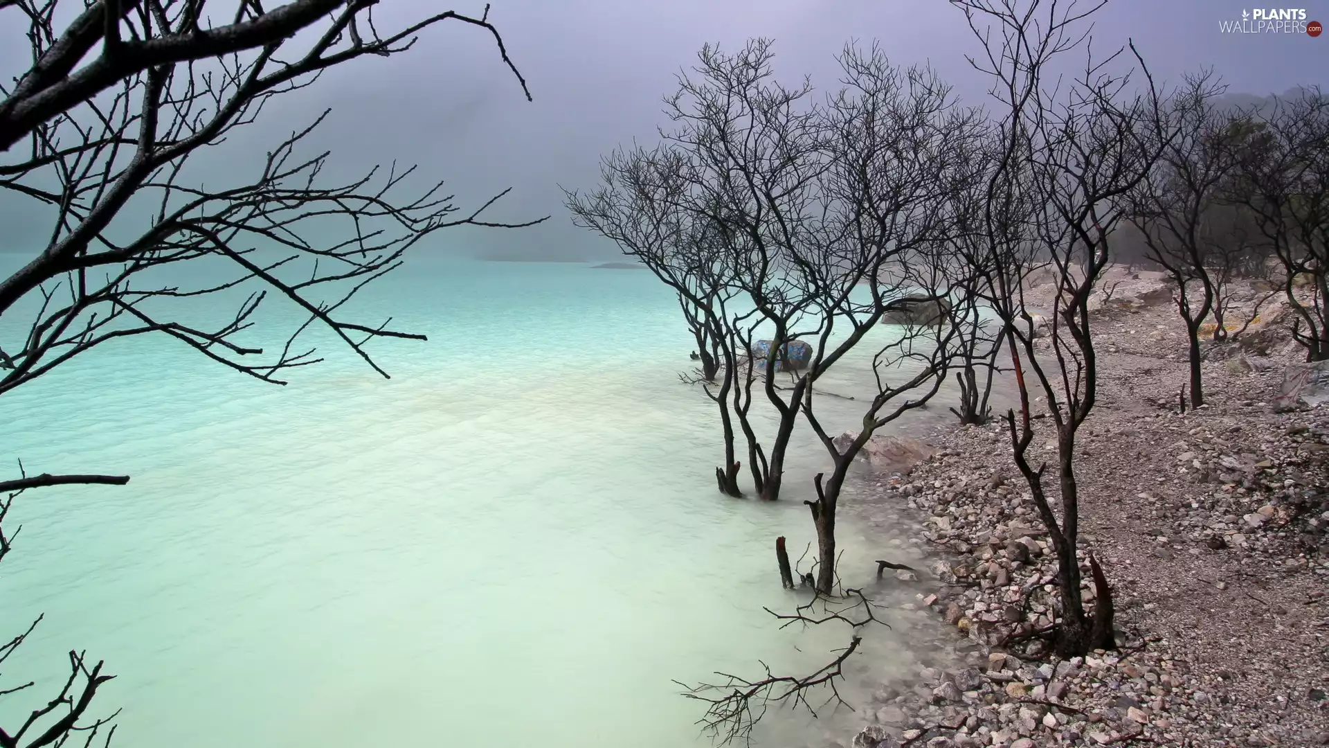 viewes, Stones, Fog, trees, lake