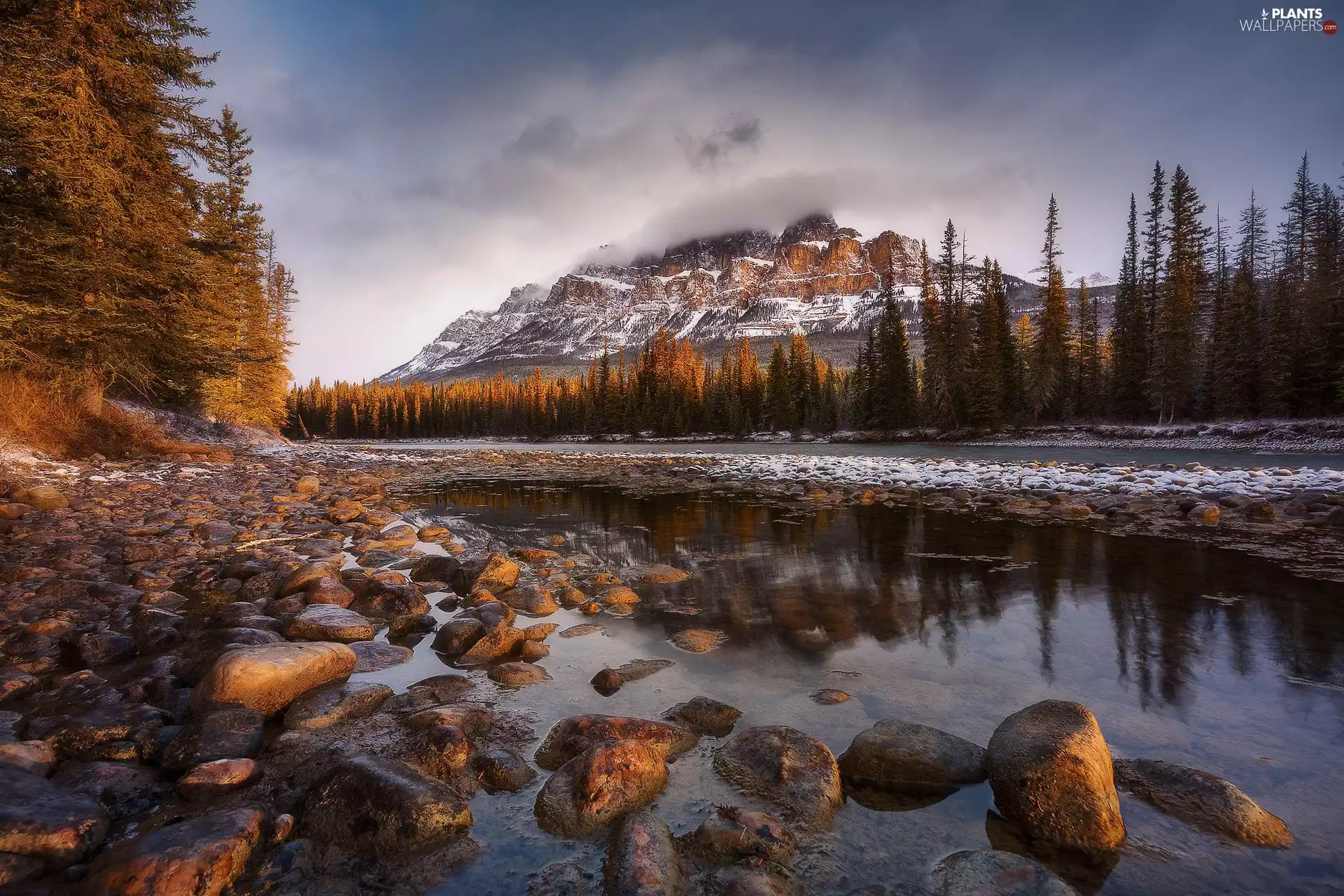 trees, Mountains, lake, Stones, viewes, forest
