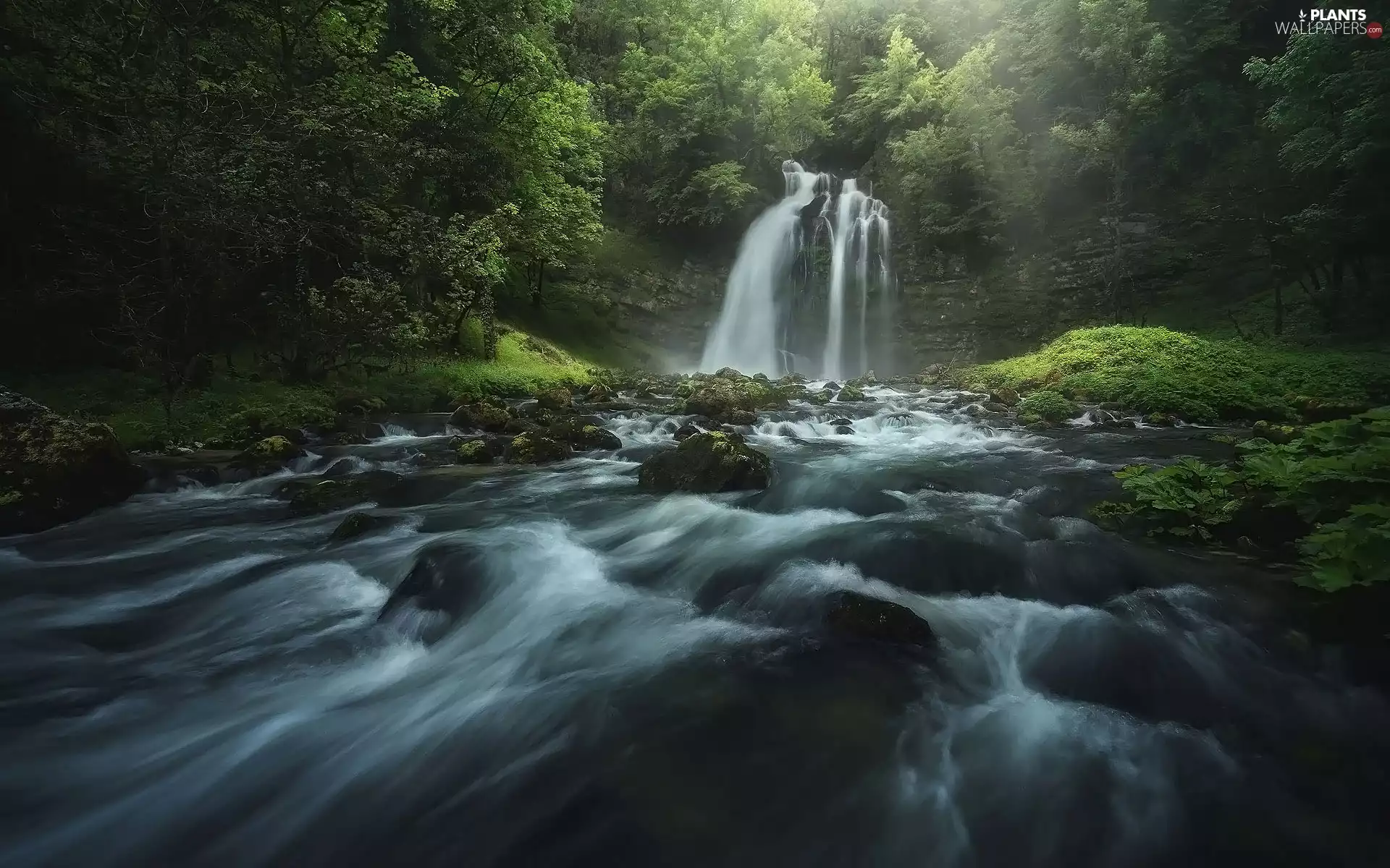 trees, waterfall, River, Stones, viewes, forest