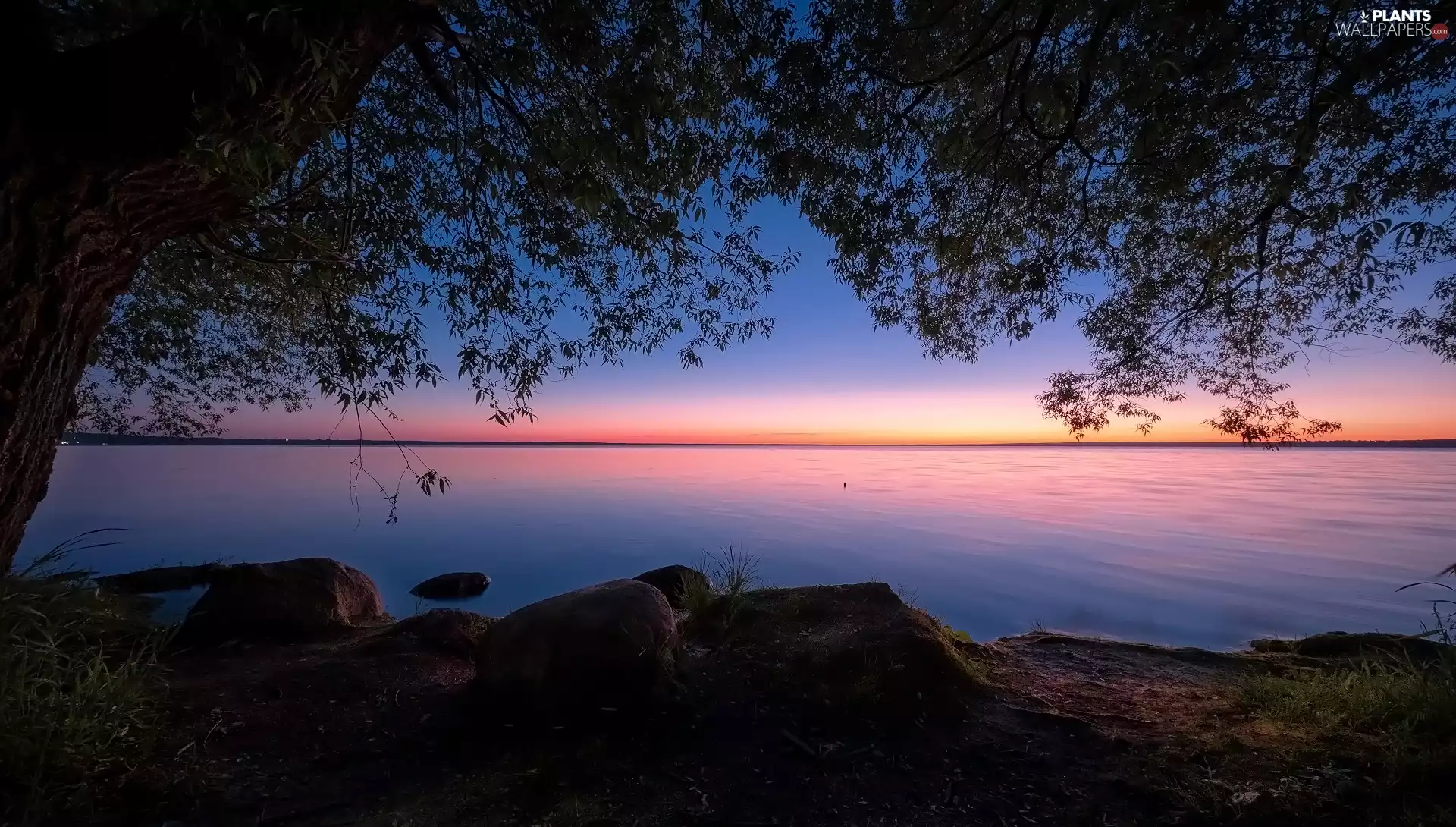 lake, Stones, Great Sunsets, trees