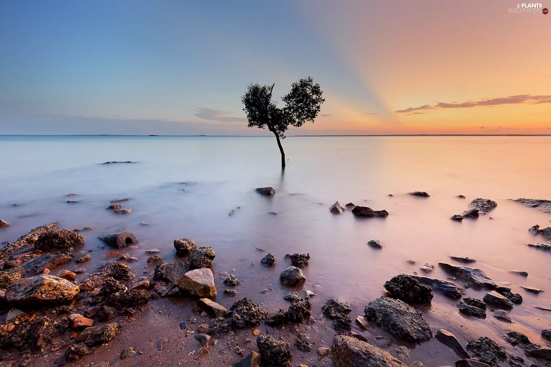 sea, Stones, Great Sunsets, trees