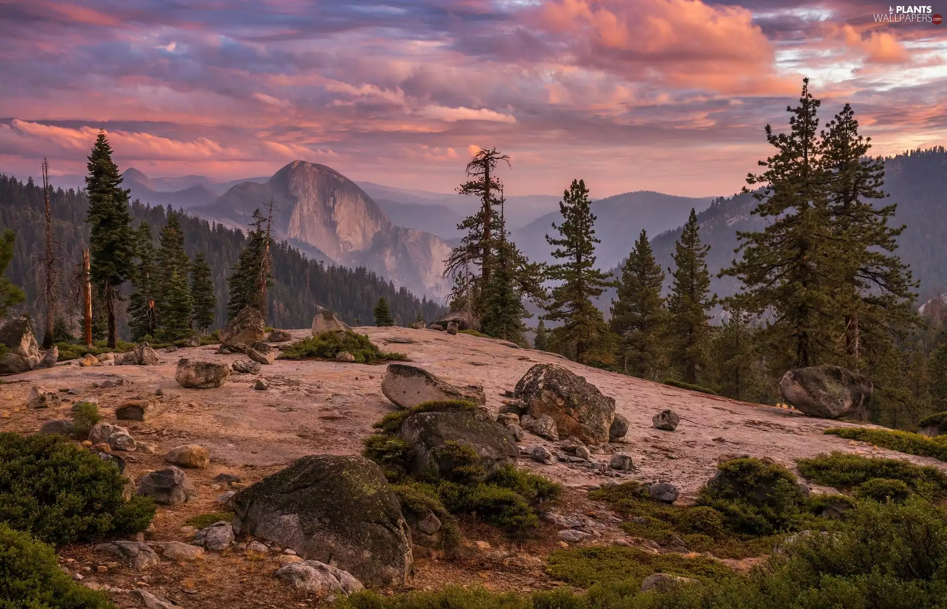 viewes, Stones, Hill, trees, Mountains