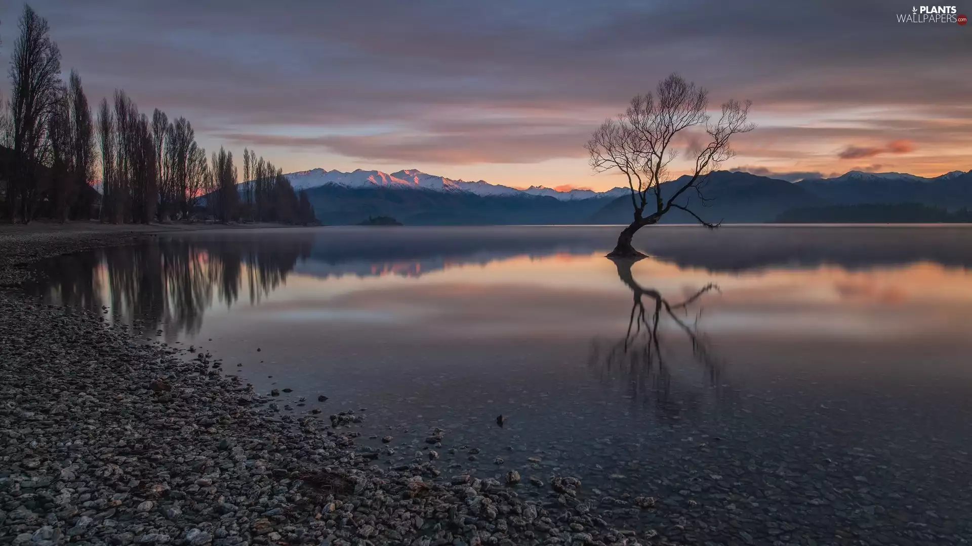 trees, Stones, lake, Mountains, Sunrise