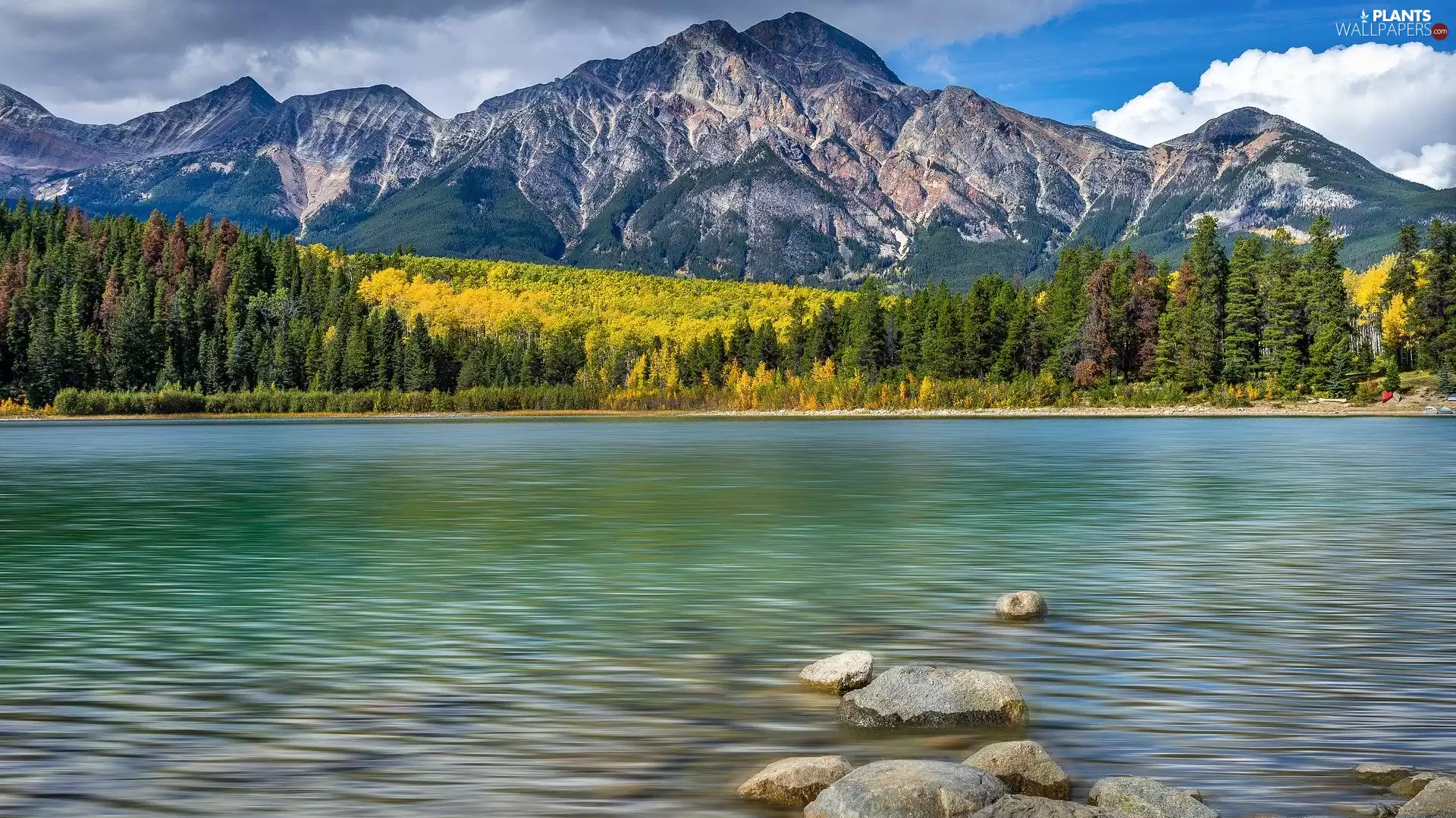 trees, Mountains, woods, Stones, viewes, lake