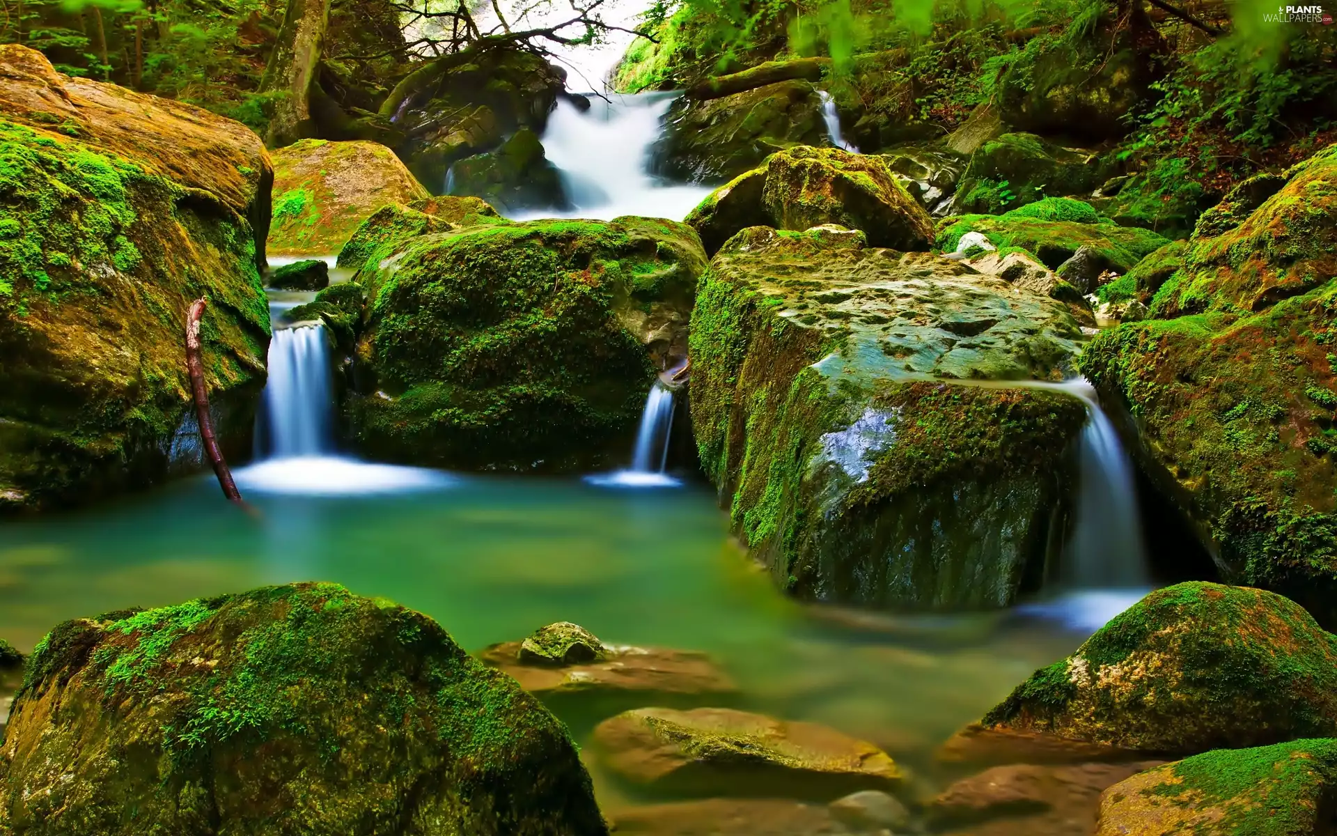 Stones, waterfall, mossy