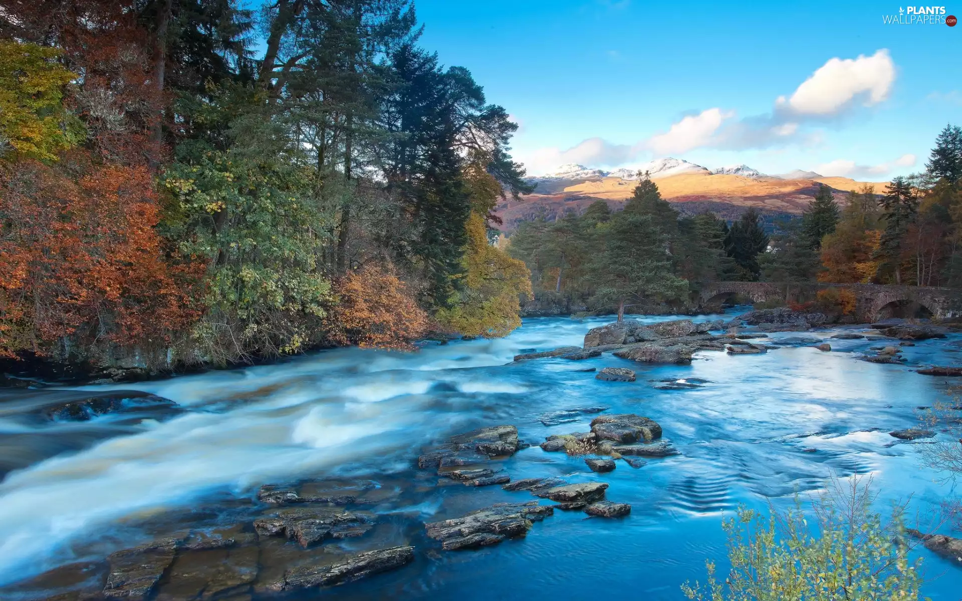 trees, bridge, Mountains, Stones, River, viewes, autumn