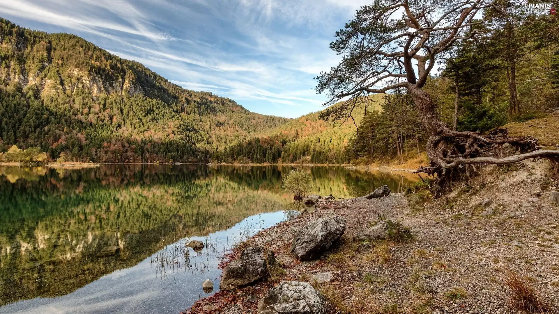 viewes, Stones, Mountains, trees, lake
