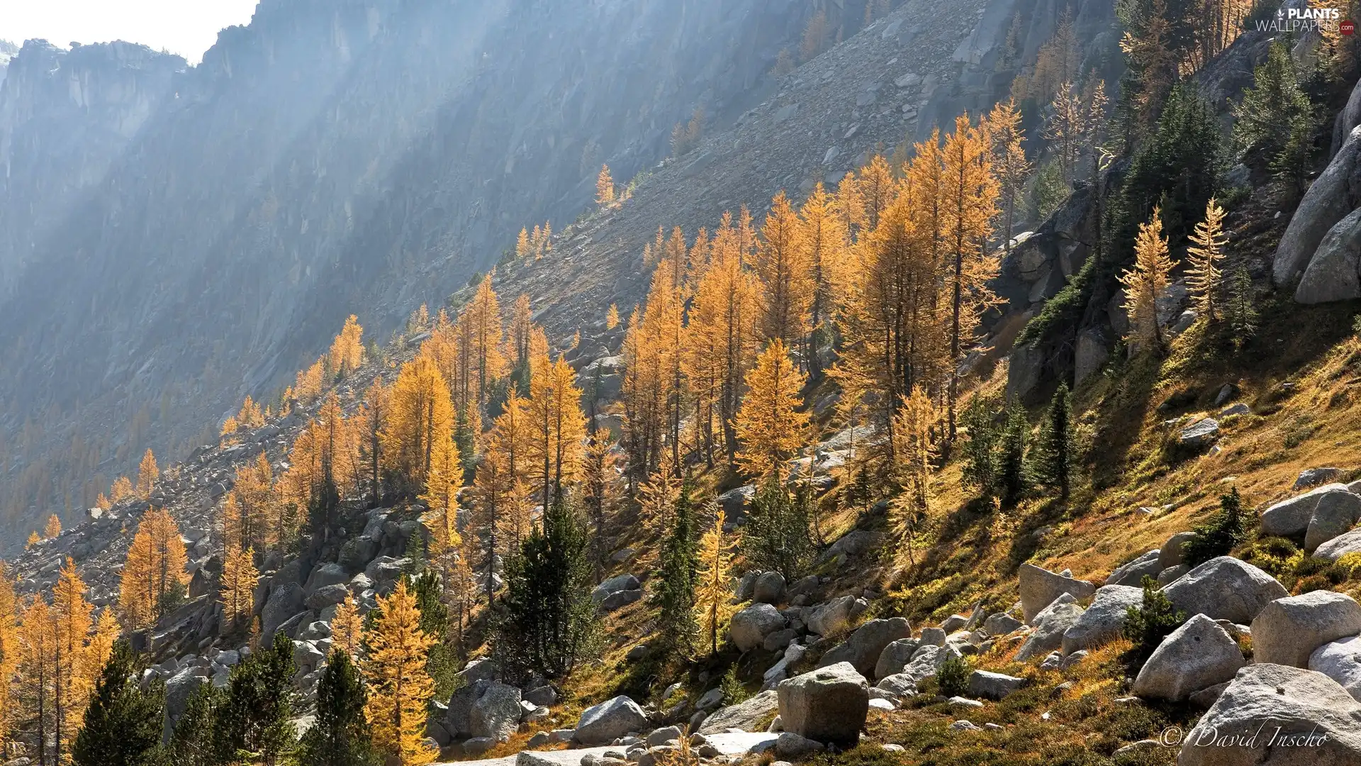 scarp, autumn, viewes, Stones, trees, Mountains