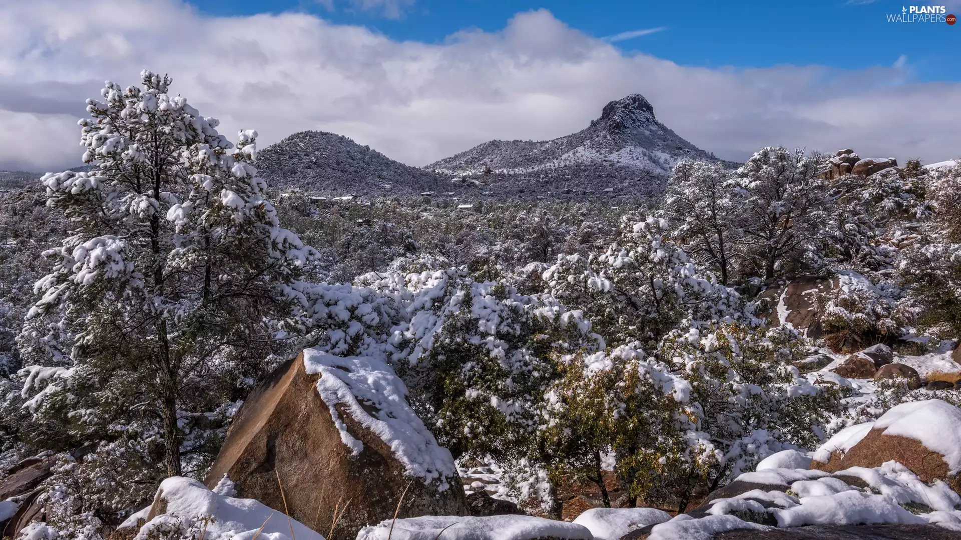 Snowy, winter, viewes, Stones, trees, Mountains