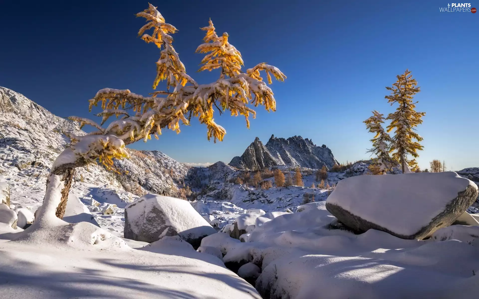 viewes, Stones, Mountains, trees, winter