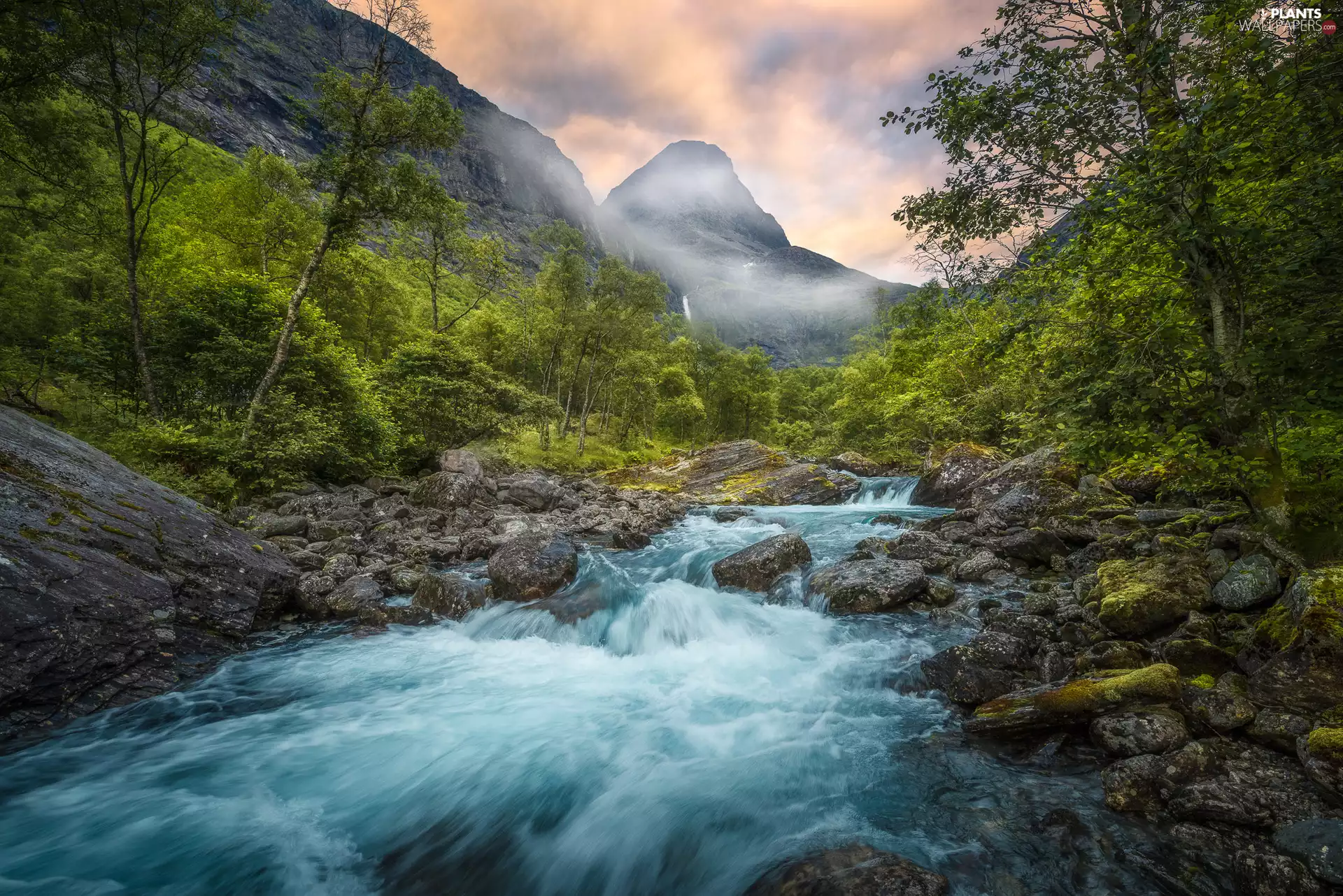 Stones, Romsdalen Valley, trees, Rauma River, Norway, Mountains, viewes