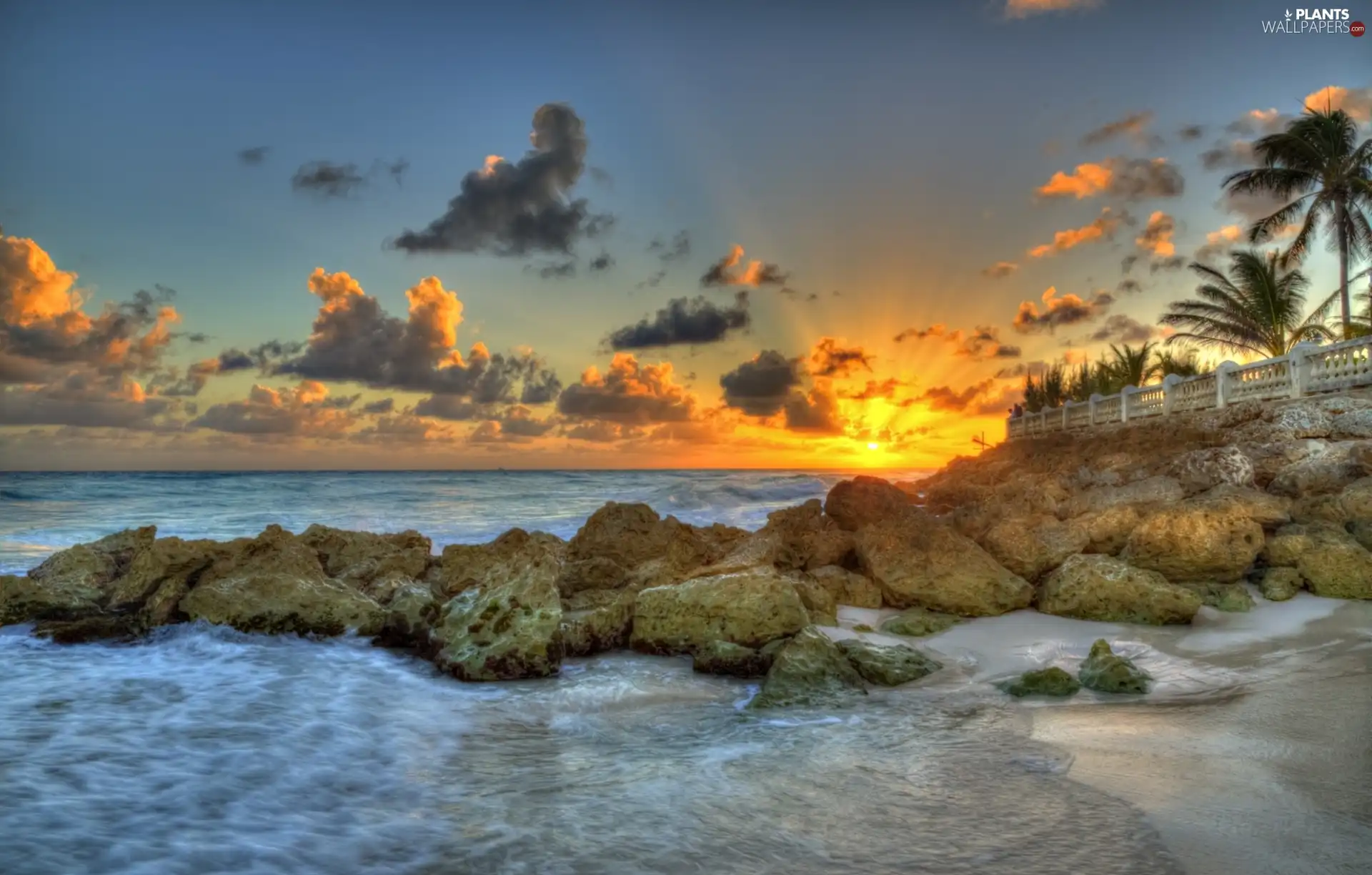 Stones, Palms, sun, sea, west