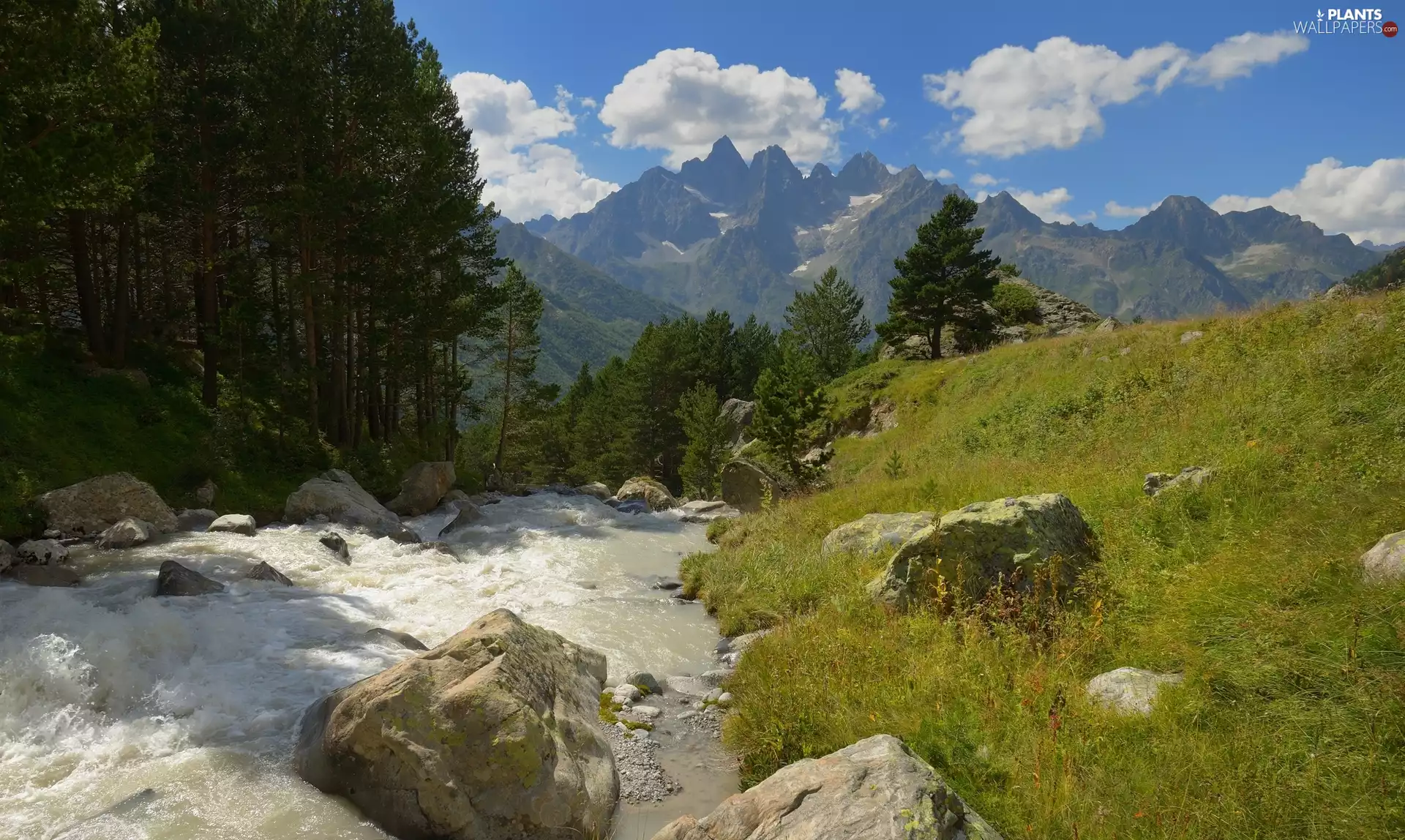 viewes, Stones, River, trees, Mountains