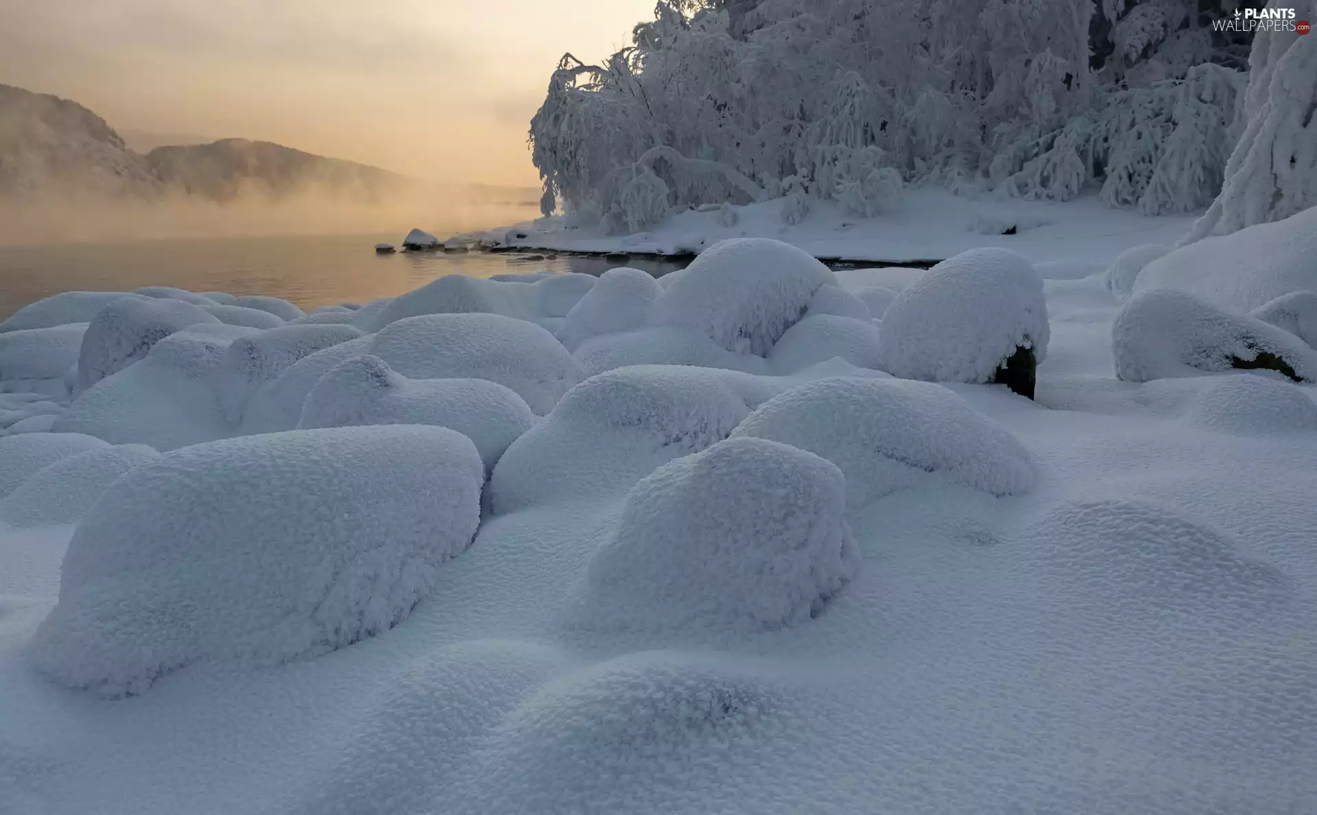 Fog, winter, viewes, Stones, trees, River