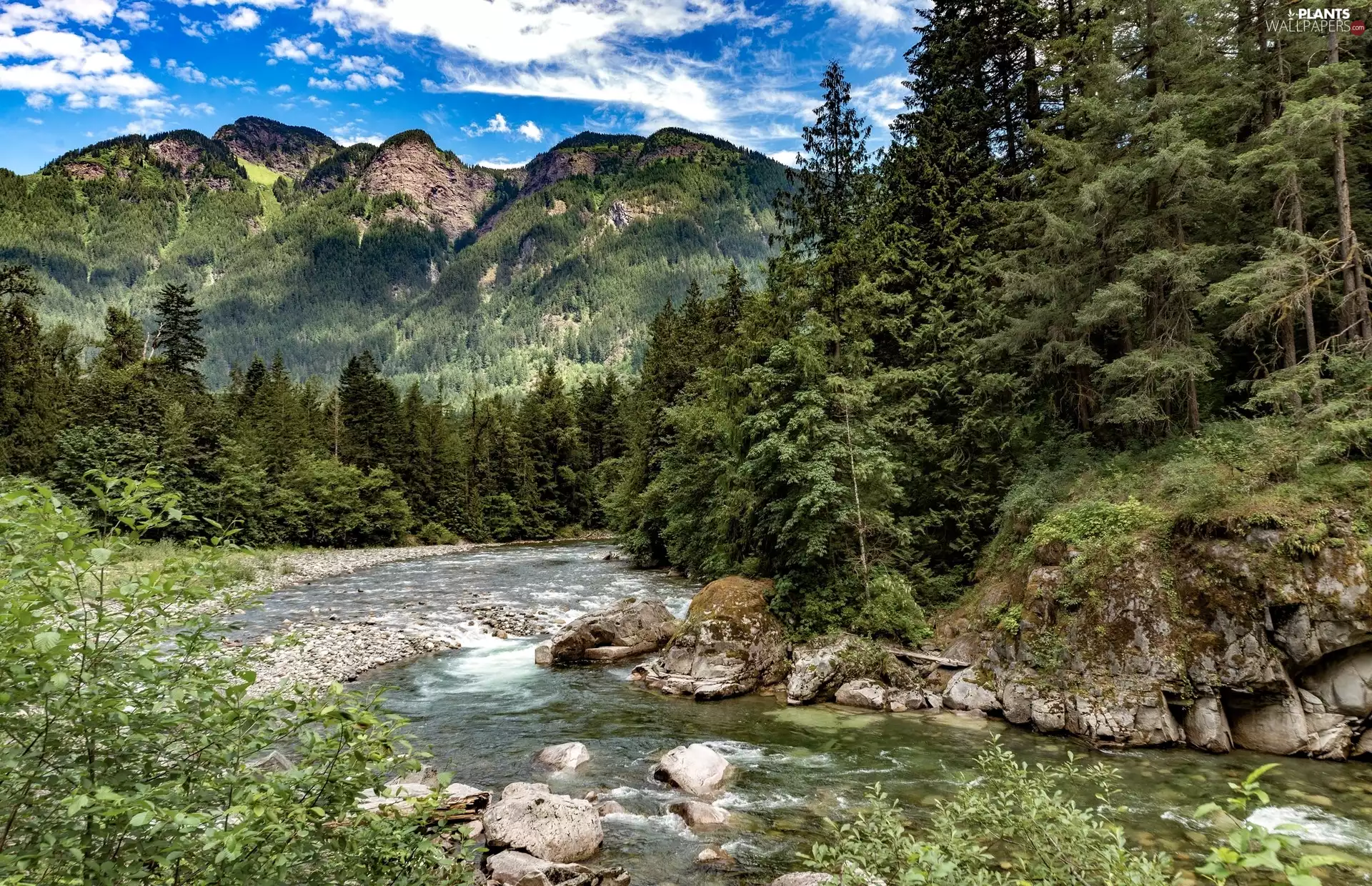 forest, Mountains, viewes, Stones, trees, River