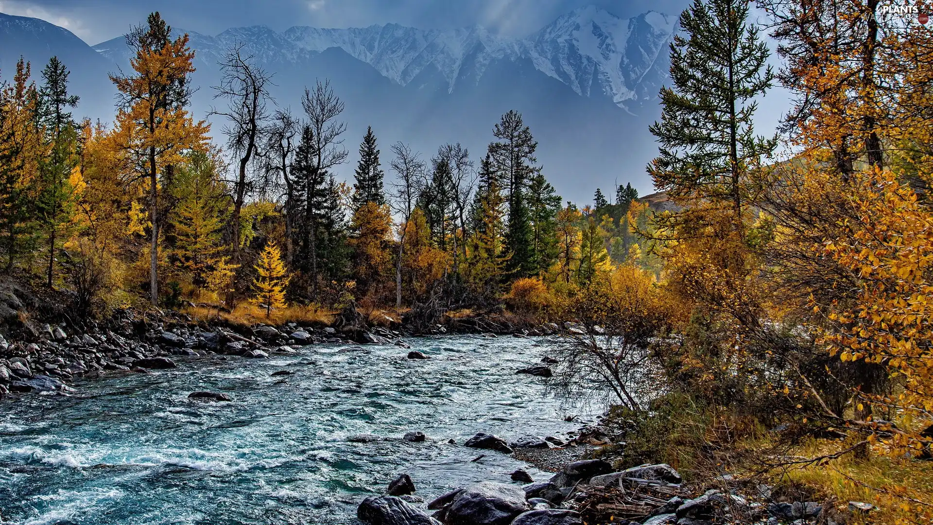 Mountains, autumn, viewes, Stones, trees, River