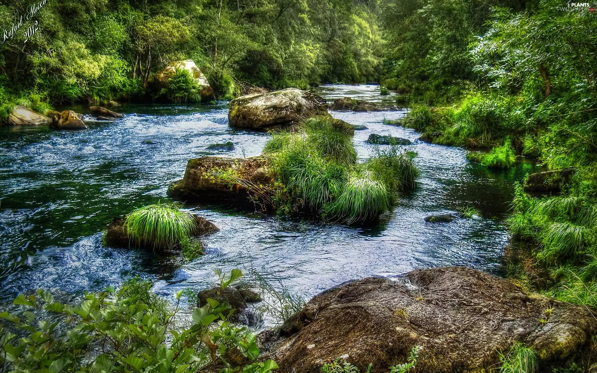River, trees, viewes, Stones