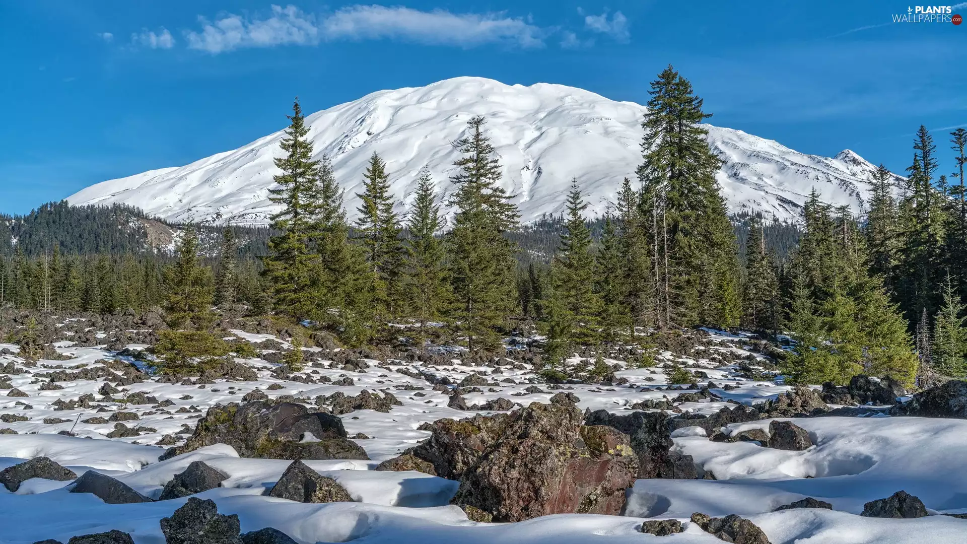 mountains, winter, viewes, Stones, trees, snow