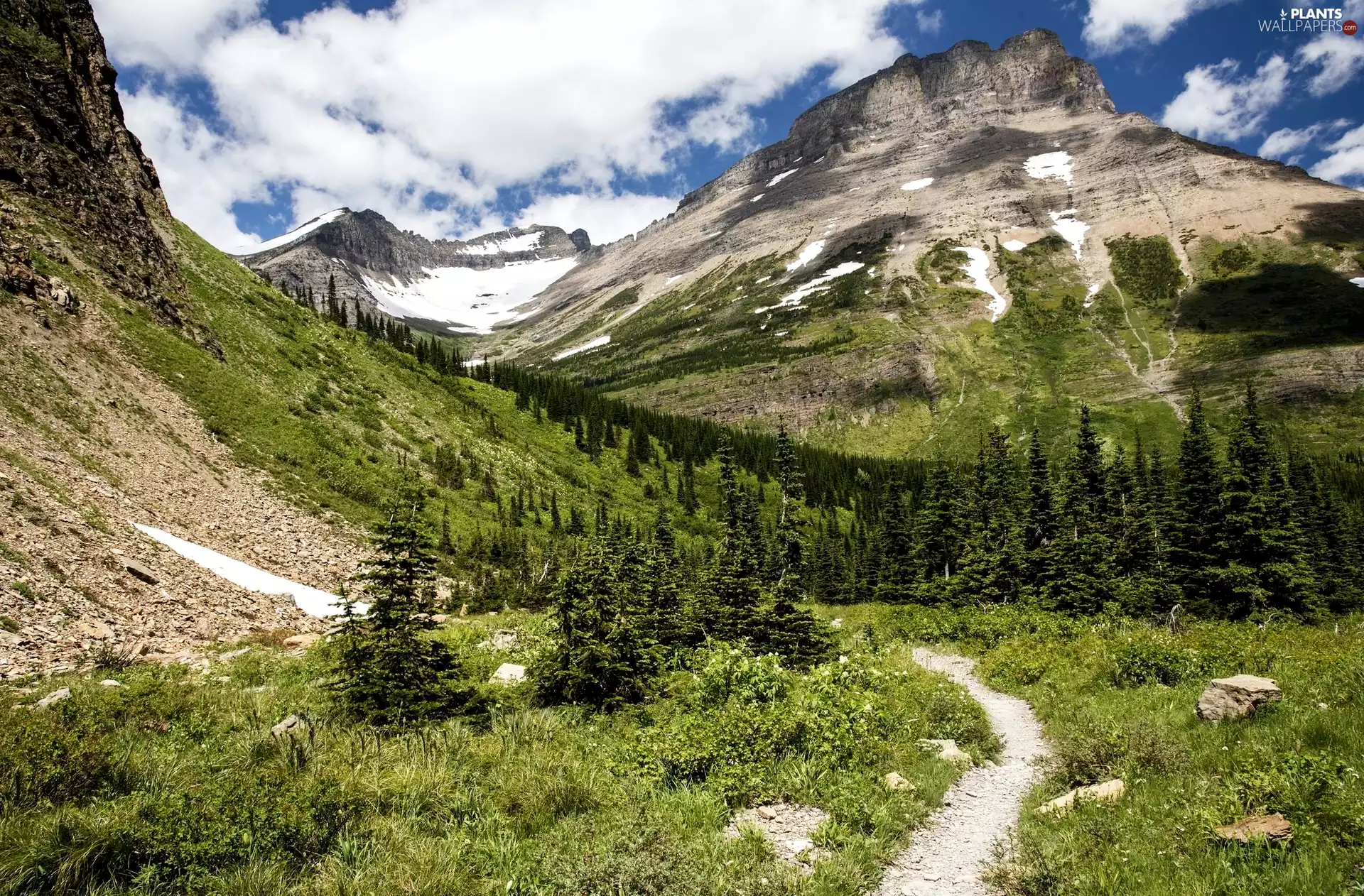 viewes, Stones, Spruces, trees, Mountains