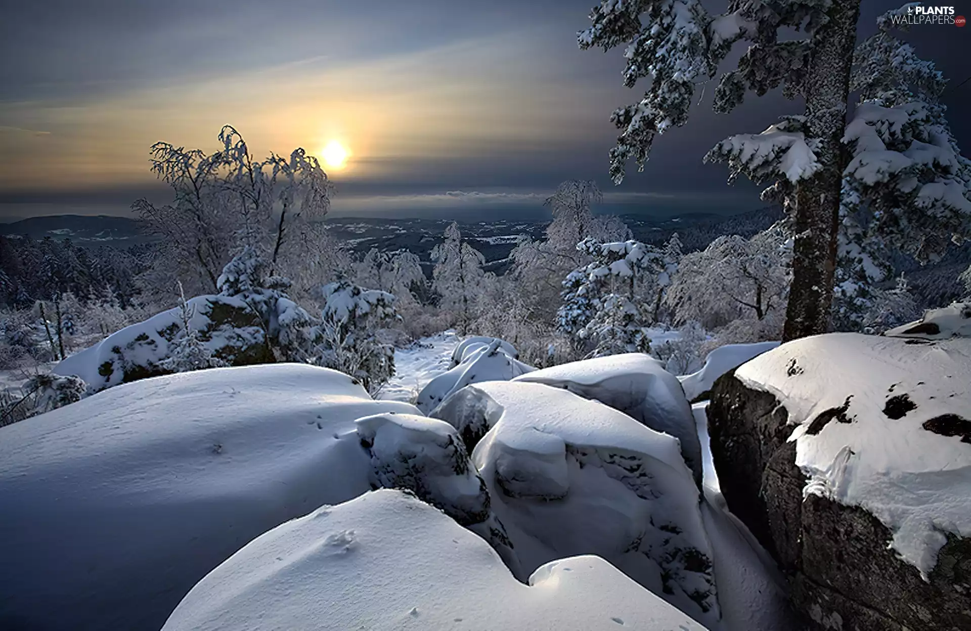 viewes, Stones, sun, trees, west