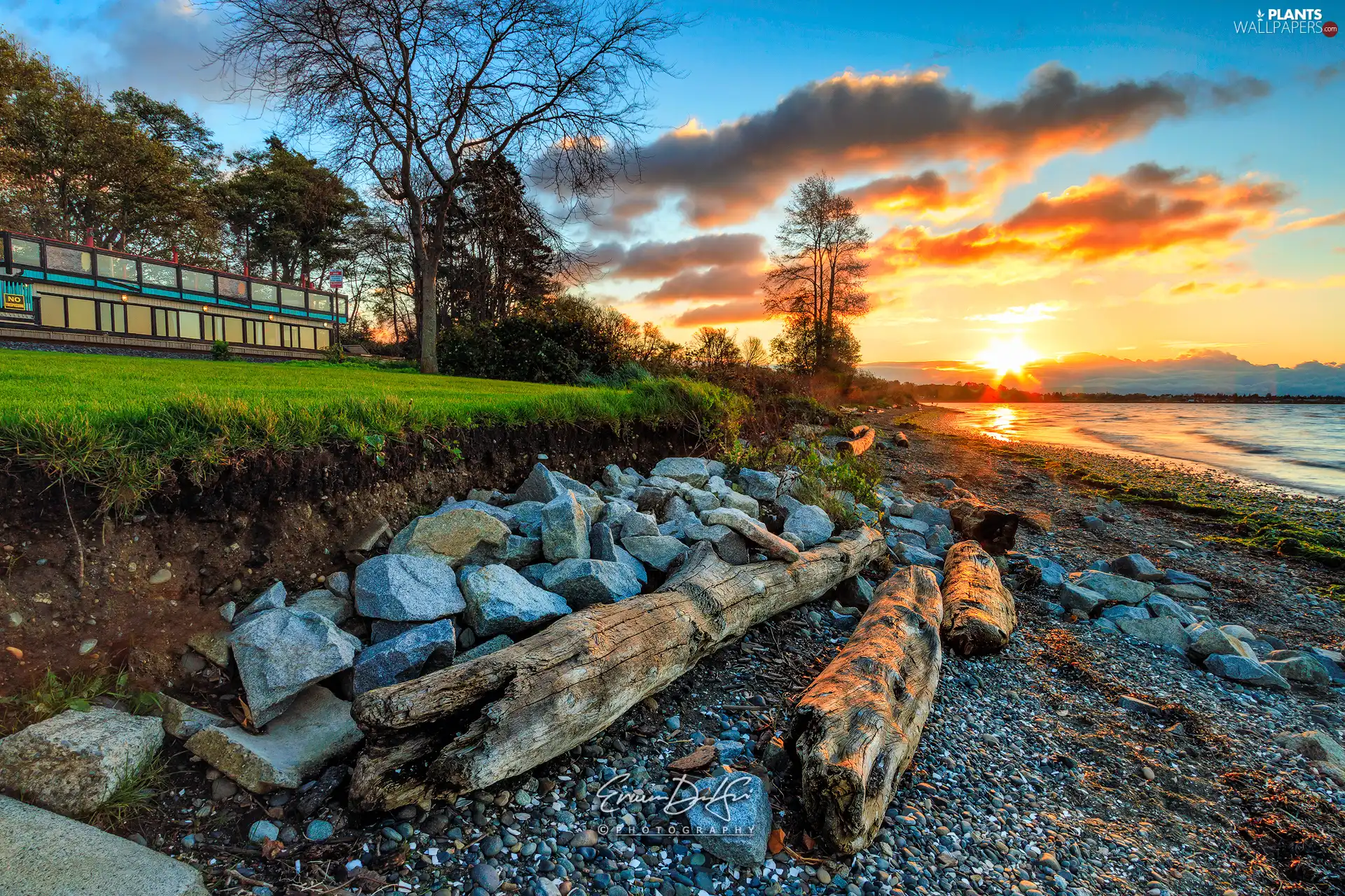 trees, coast, Sunrise, Stones, sea, viewes, clouds