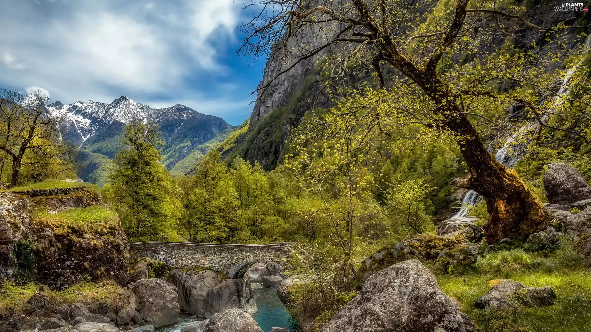 viewes, Mountains, bridge, Stones, River, trees