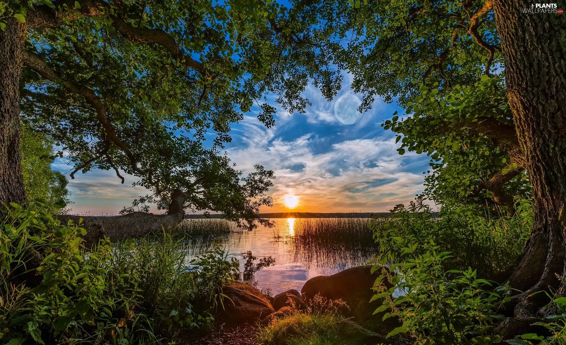 viewes, lake, clouds, Stones, Sunrise, trees