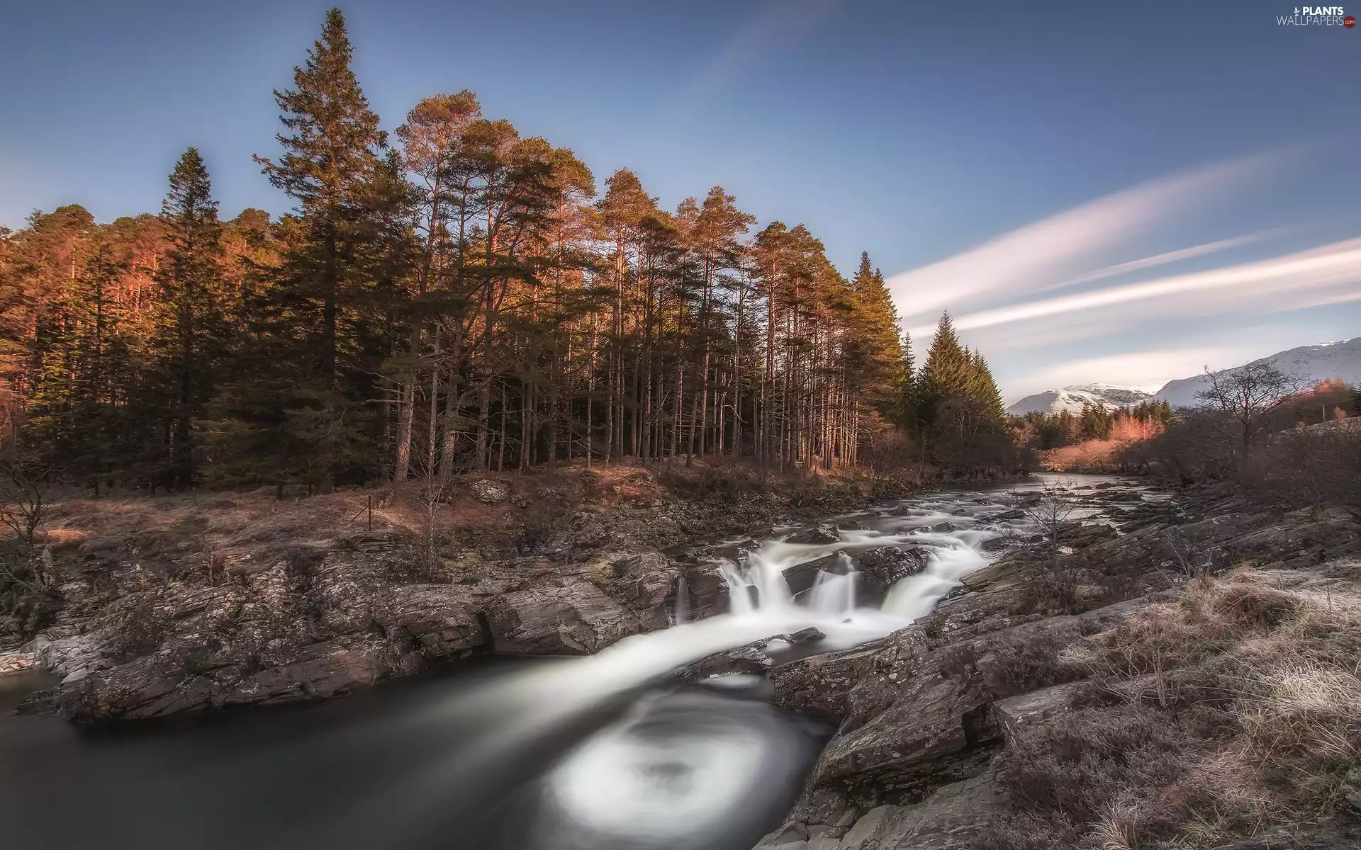 River, Stones, trees, viewes, forest