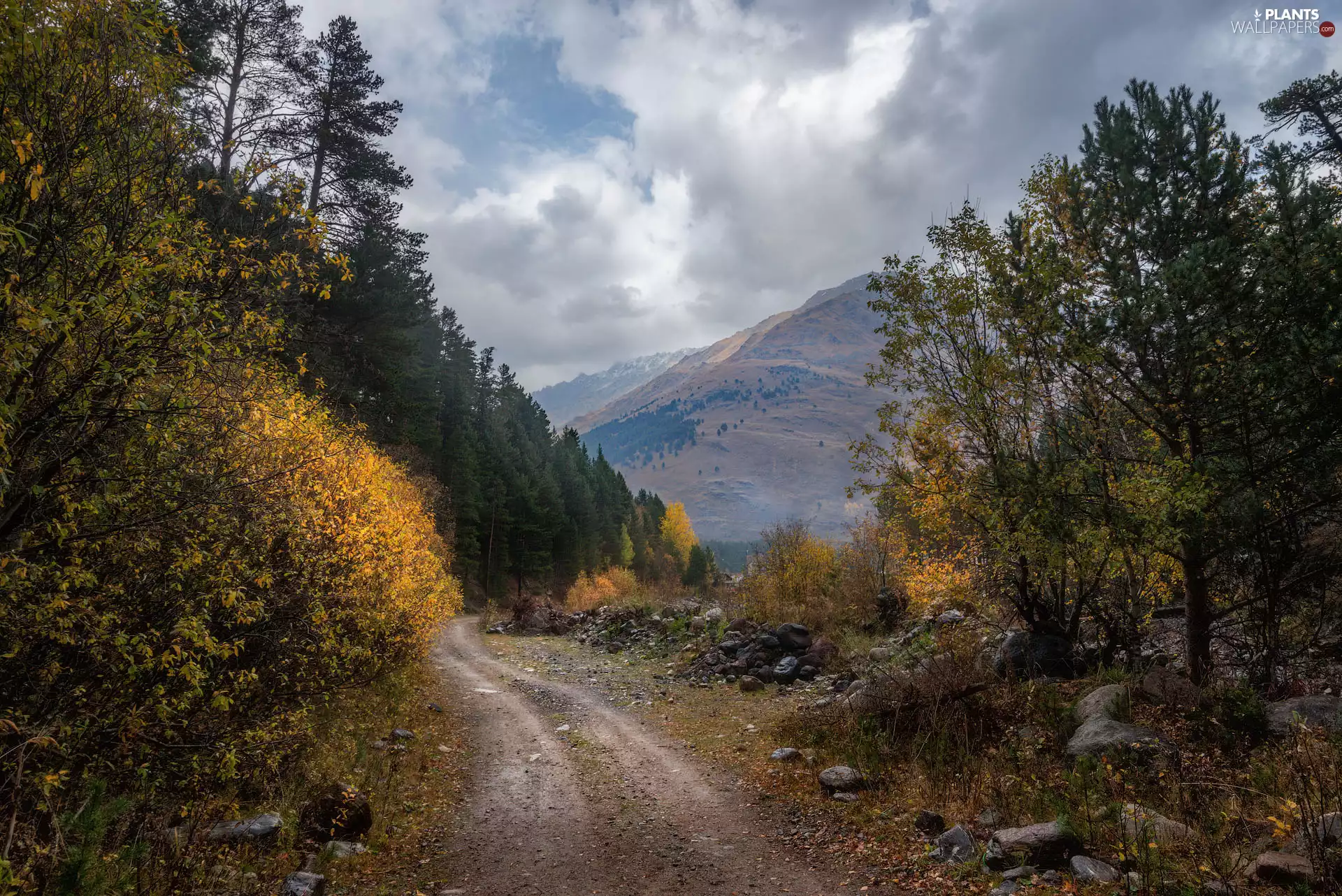 viewes, Mountains, grass, Stones, Way, trees