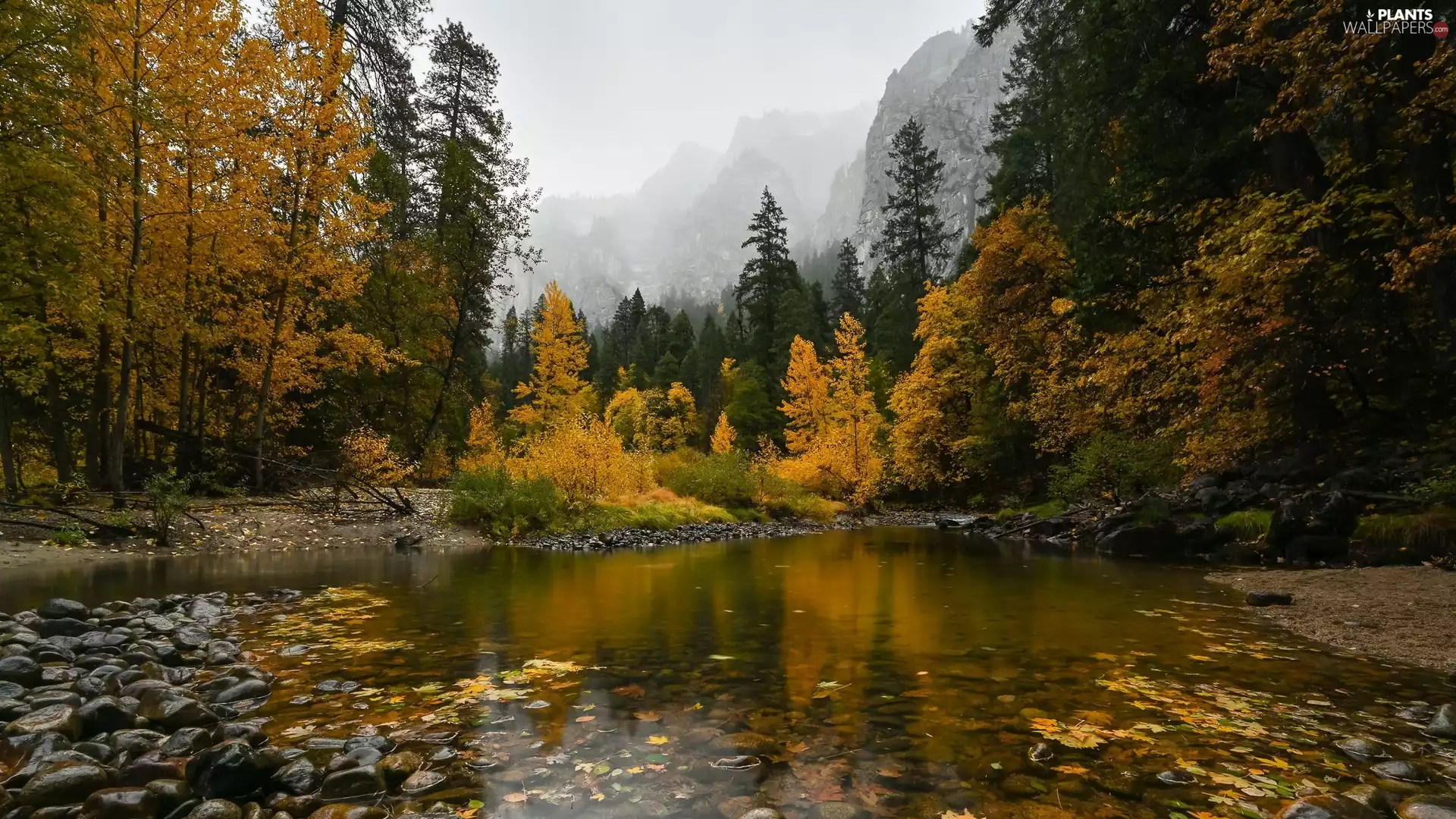 Mountains, River, trees, Stones, autumn, Yellow, viewes