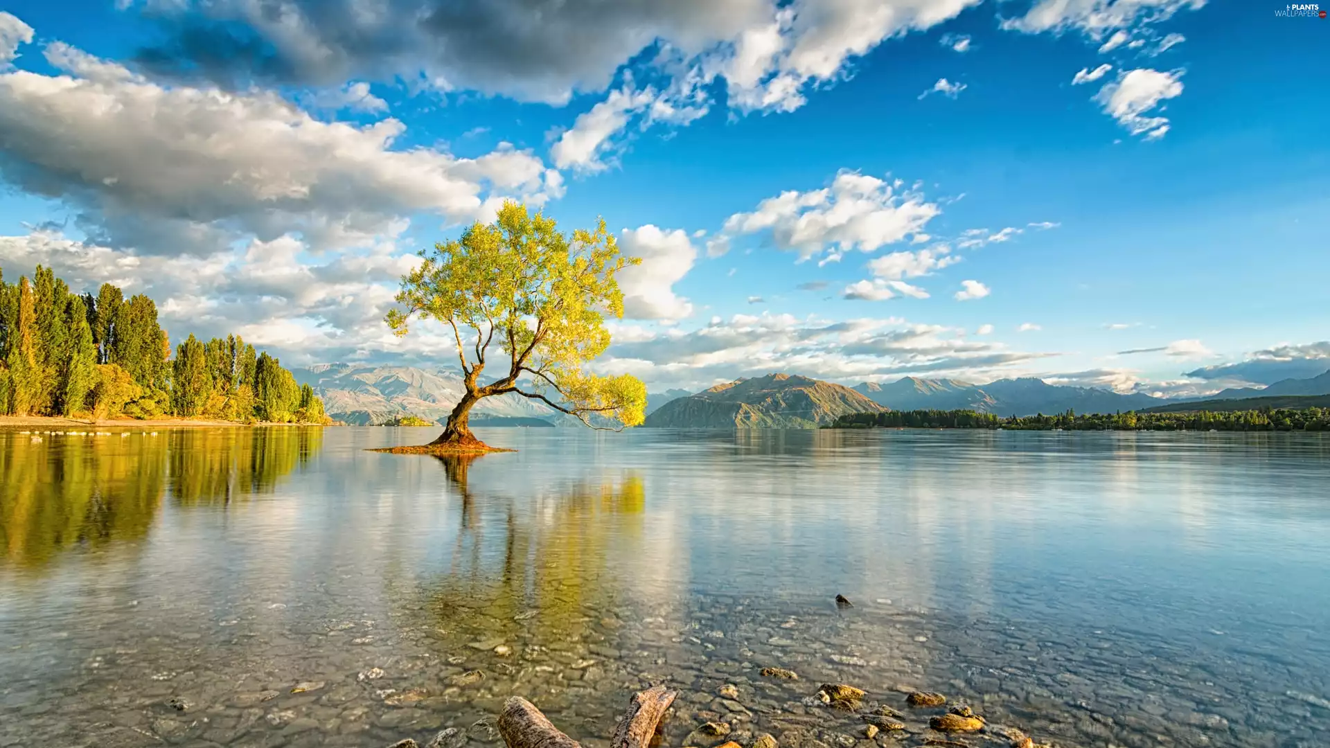 viewes, lake, Sky, Stones, clouds, trees