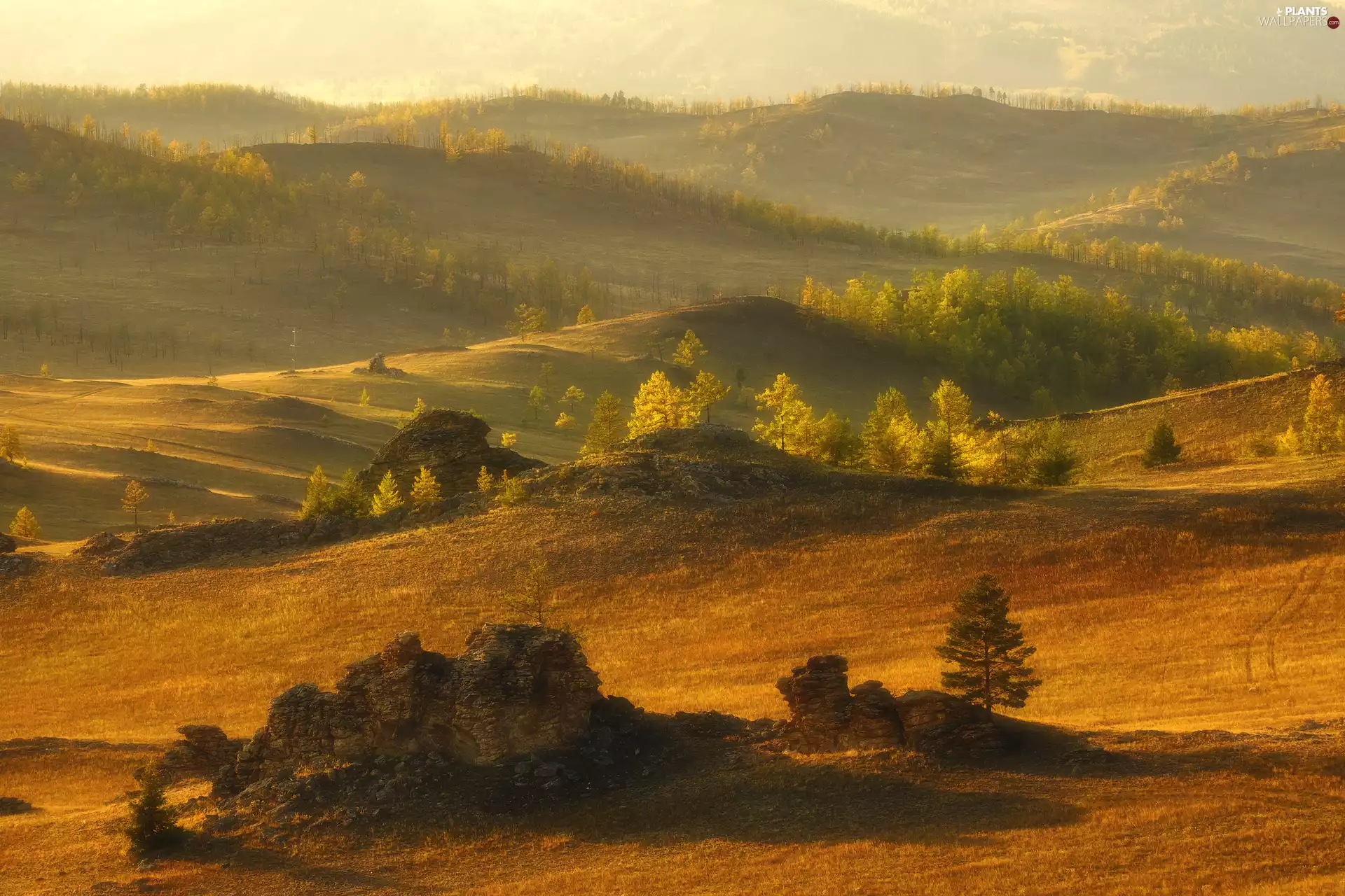 The Hills, viewes, Stones rocks, trees