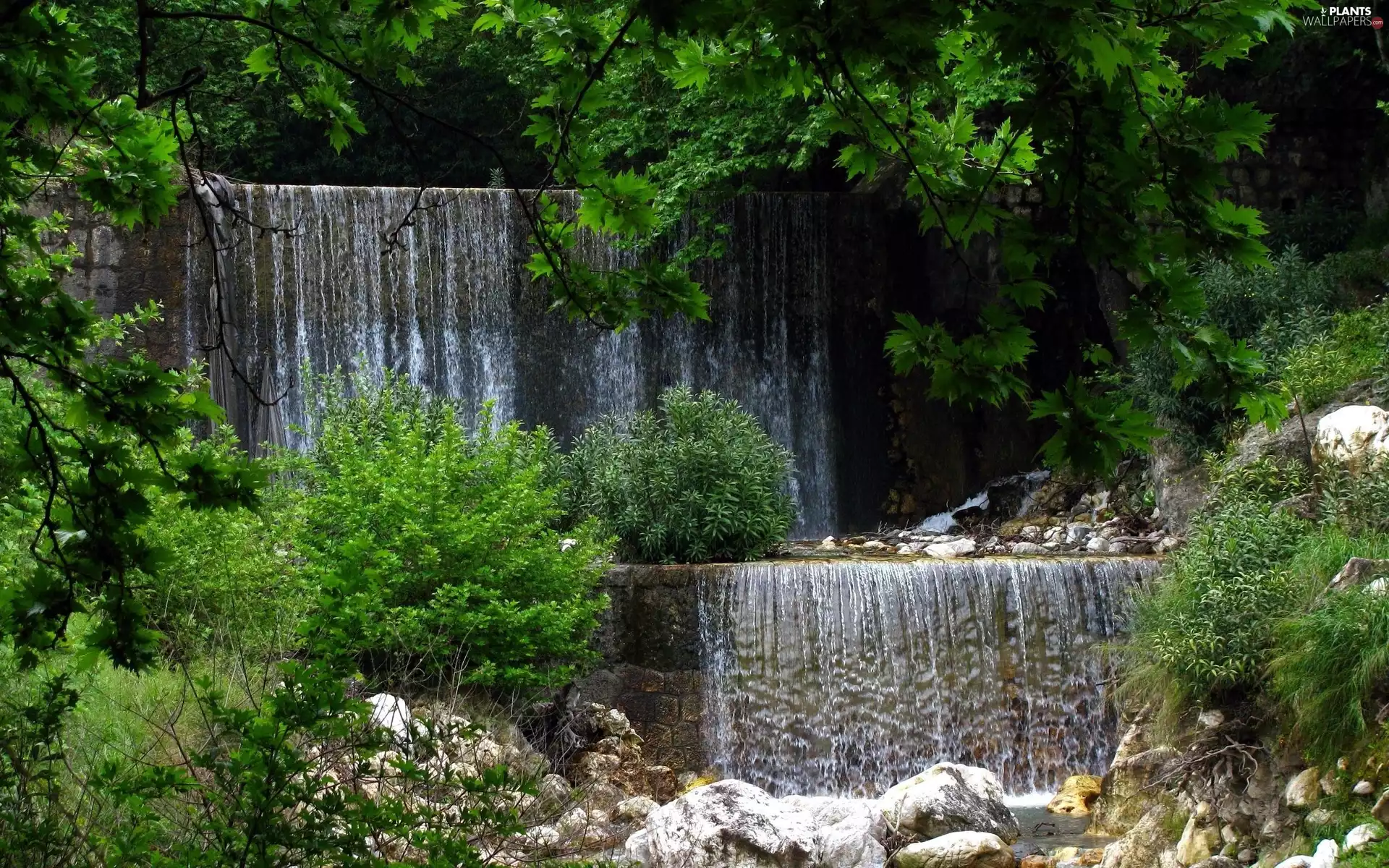 Bush, Stones, trees, viewes, waterfall