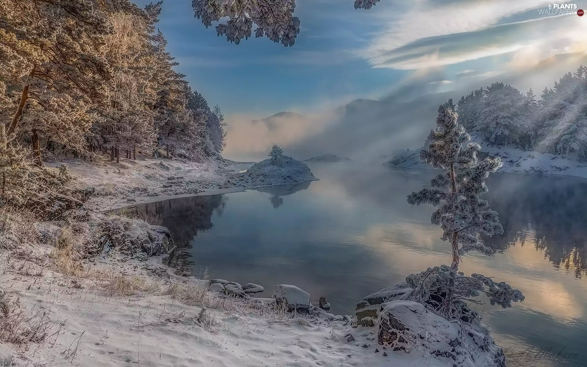 lake, Stones, trees, viewes, winter