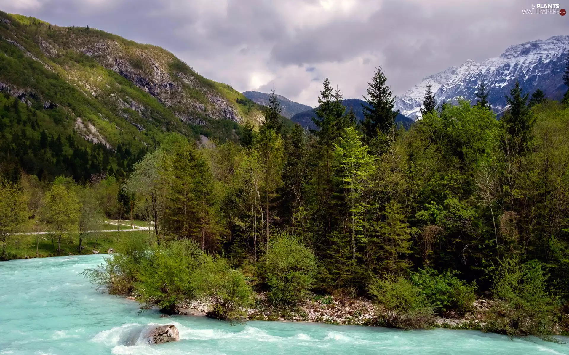 forest, River, viewes, Stones, Mountains, trees, clouds