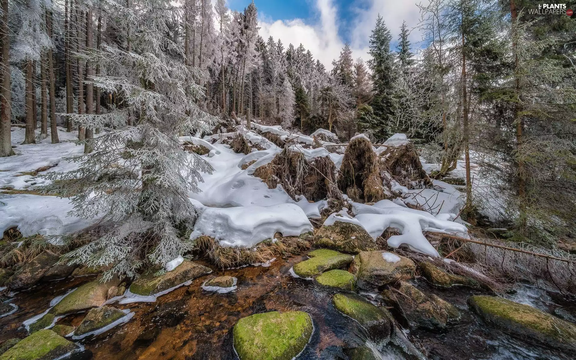 forest, River, viewes, Stones, winter, trees, clouds