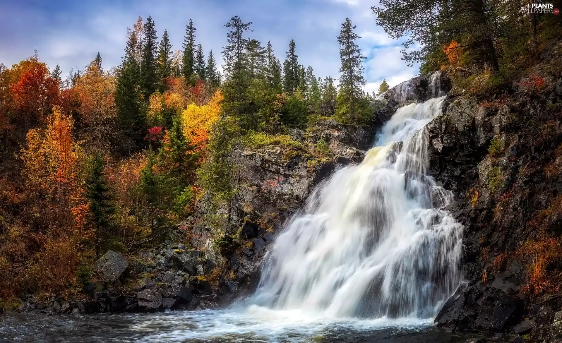 trees, autumn, Rocks, Stones, viewes, waterfall