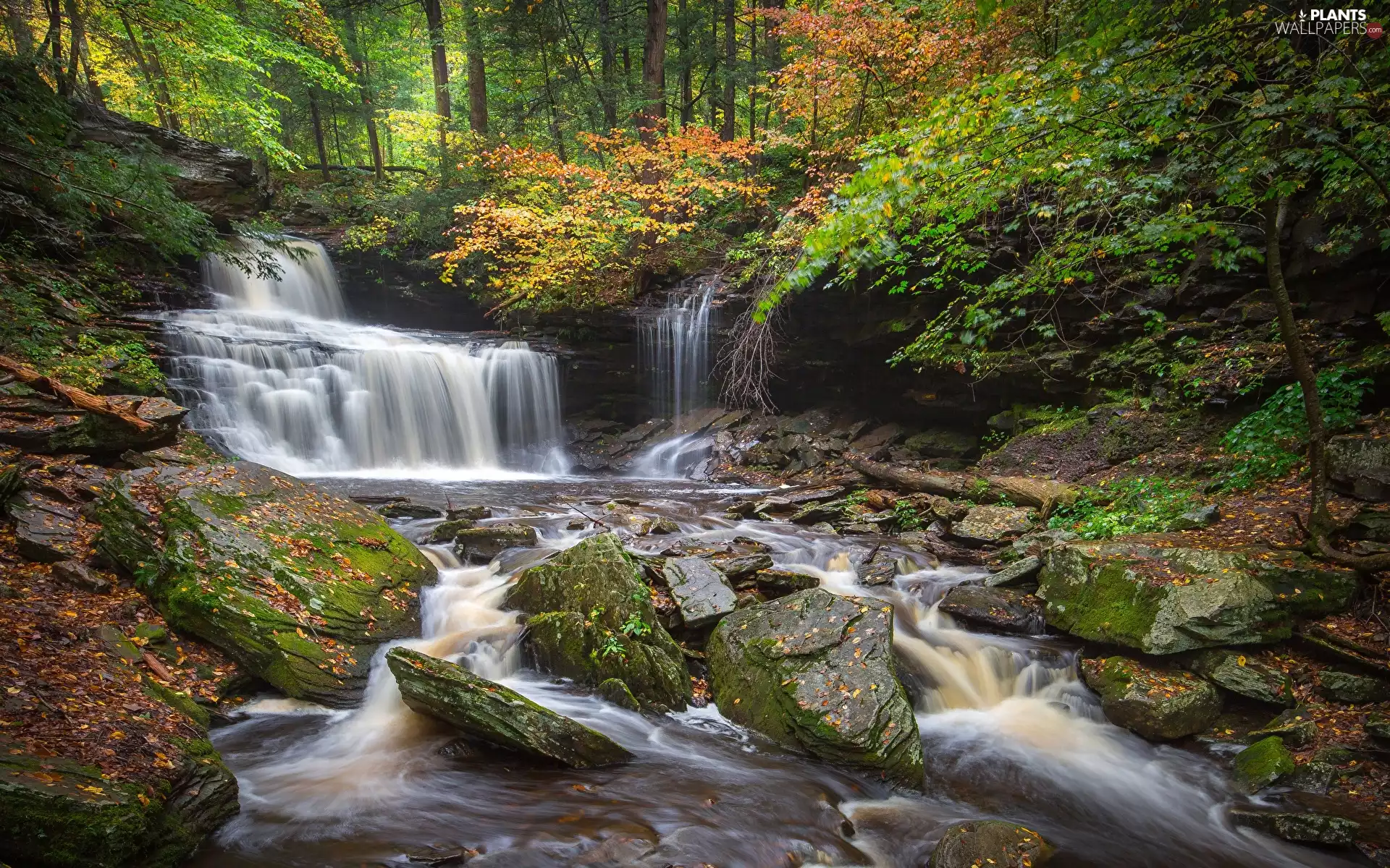 River, autumn, viewes, Stones, trees, waterfall