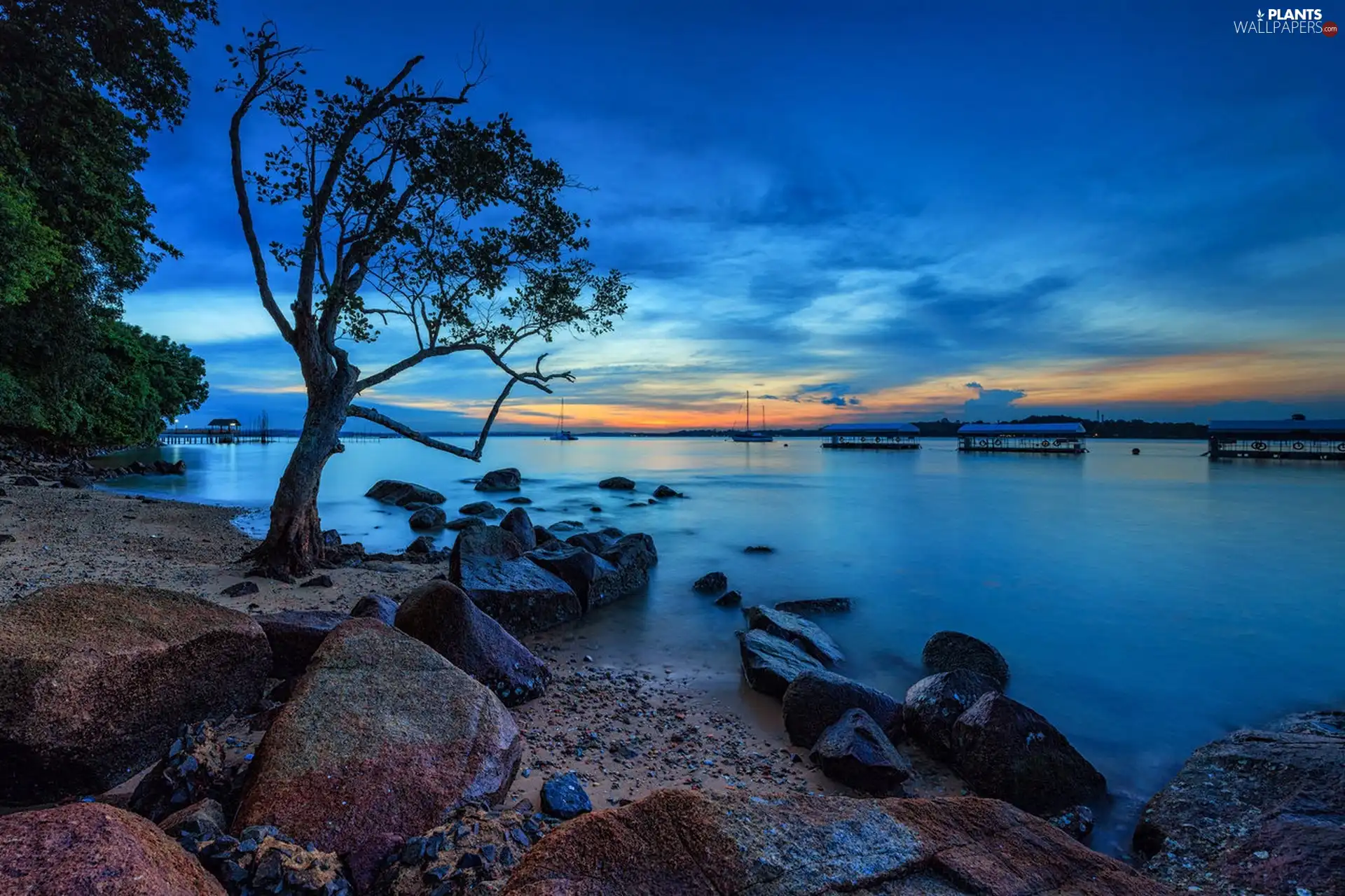 Stones, west, trees, viewes, lake