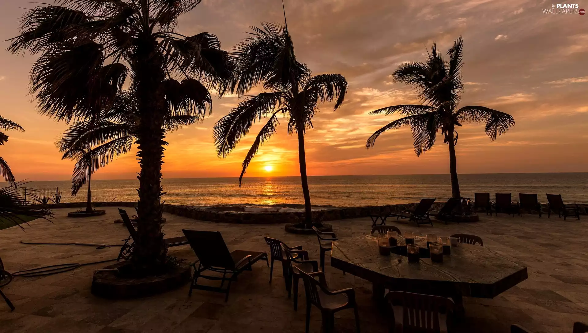 Stool, Palms, Great Sunsets, table, sea, deck chair, holiday