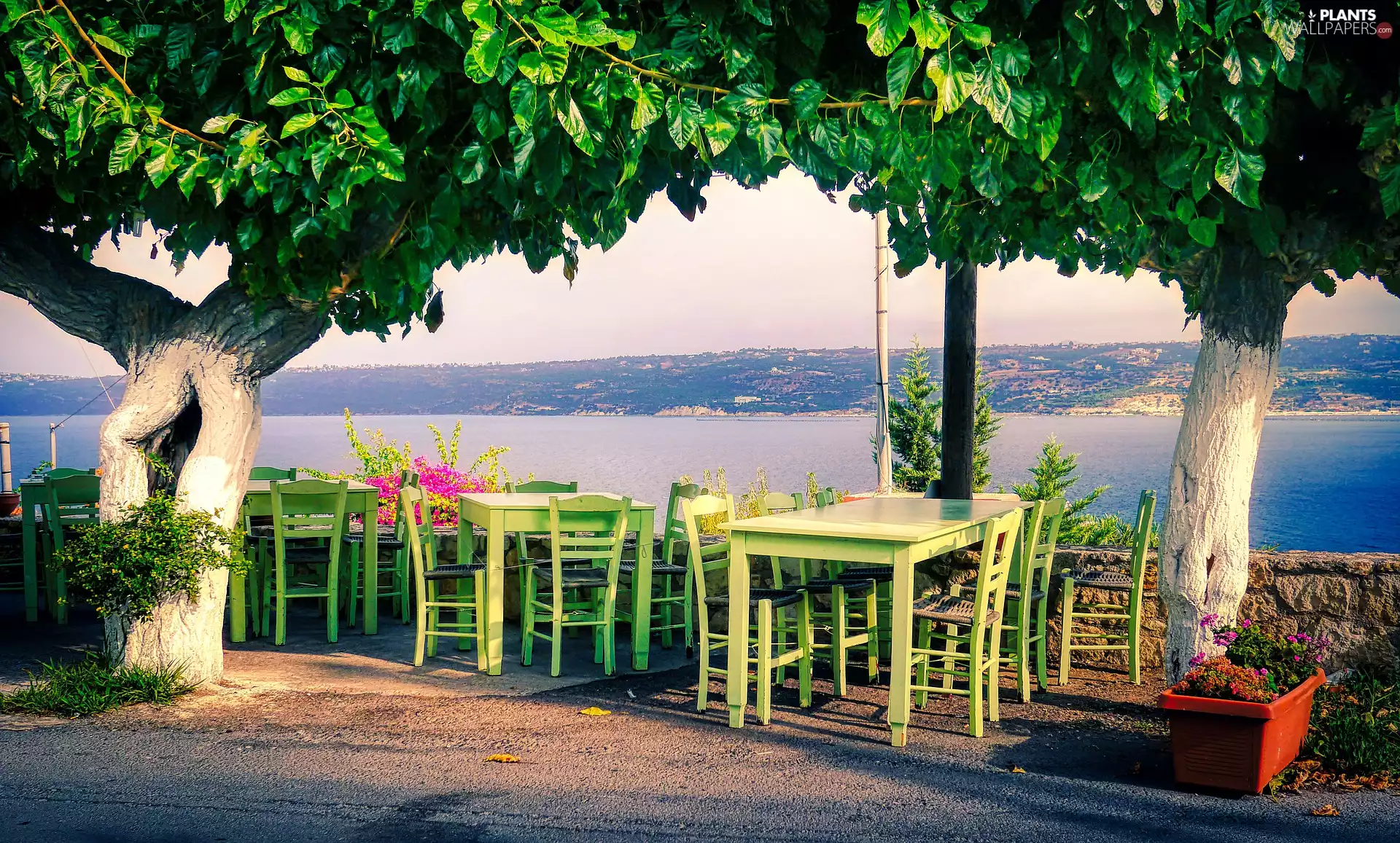 Tables, trees, lake, Stool