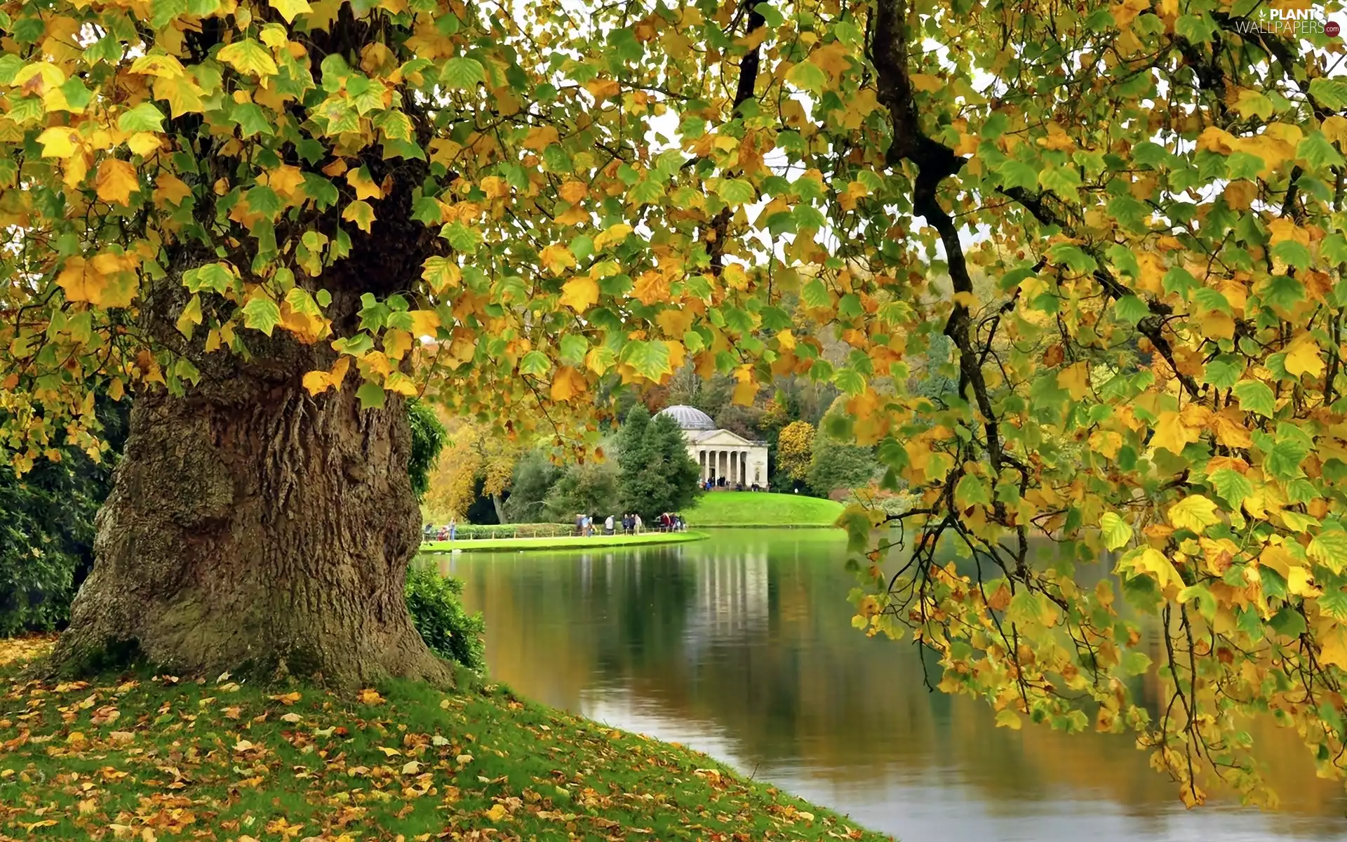 trees, viewes, autumn, residence, England, lake, Park, Stourhead