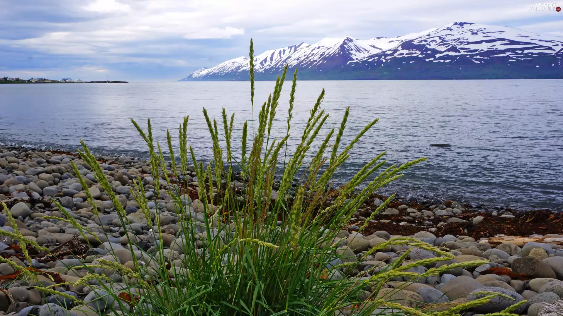 Stratovolcano Snæfellsjökull, iceland, Stones, grass, sea, Mountains