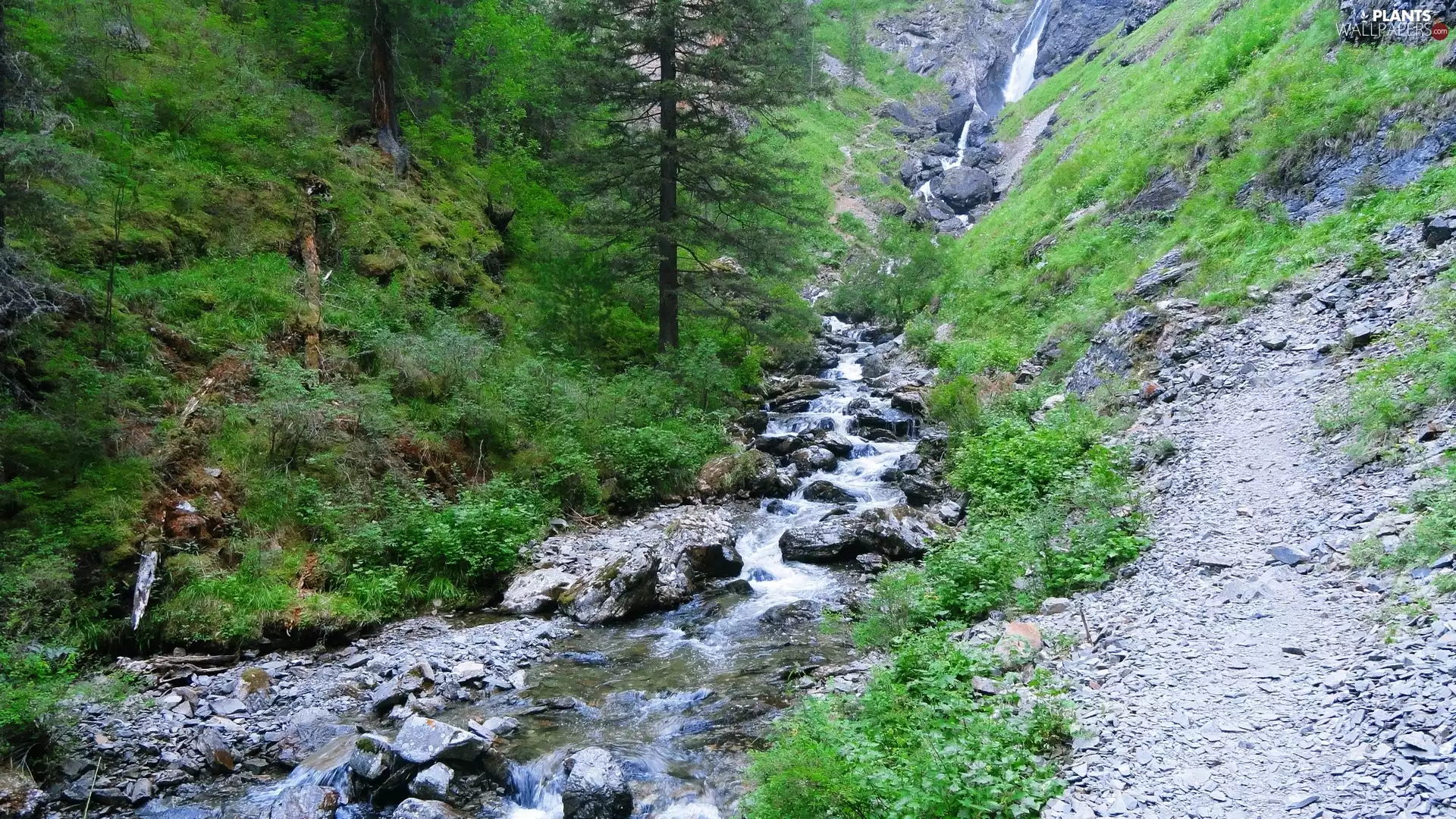 mountainous, woods, Stones, stream