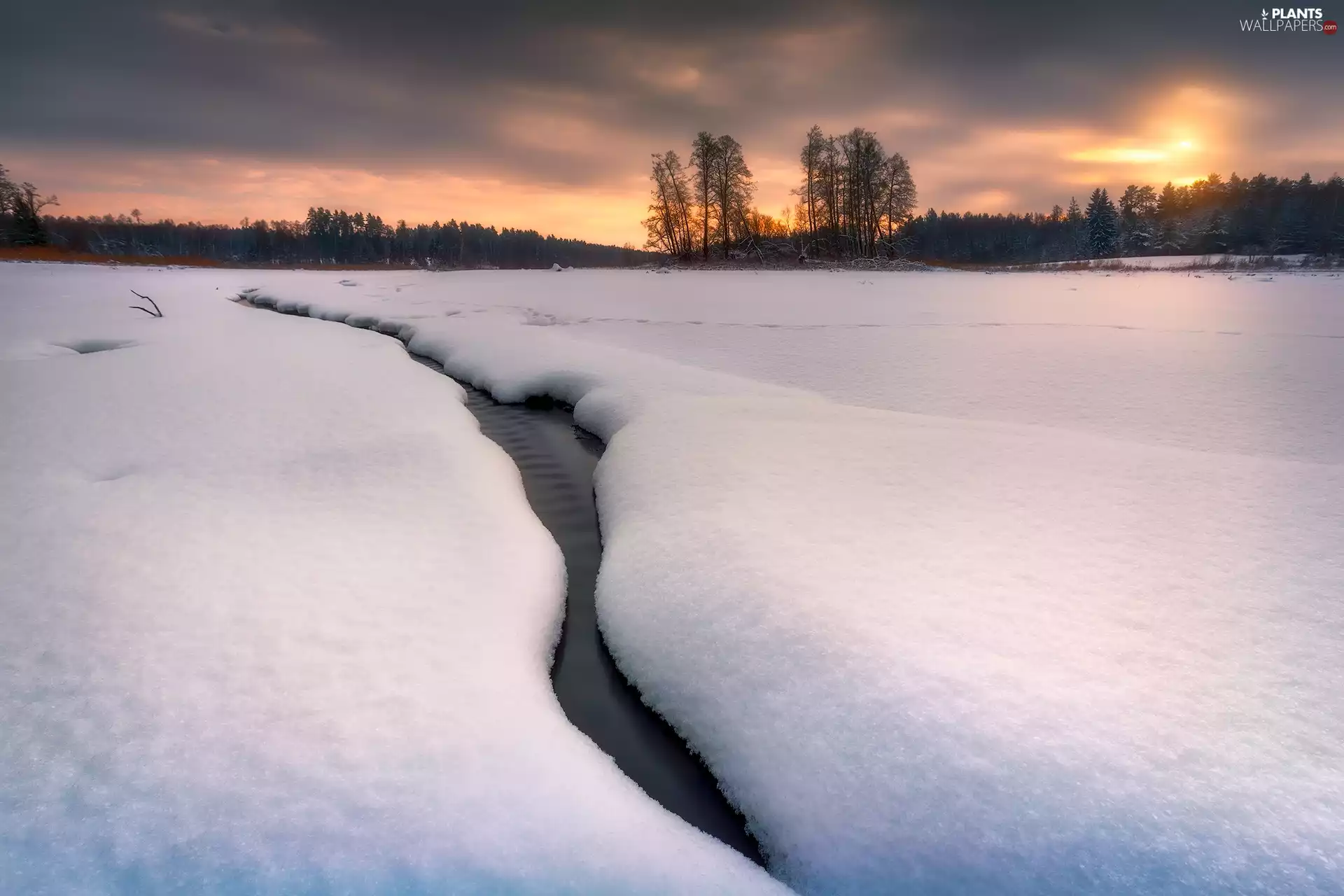 trees, winter, snow, stream, viewes, Sky