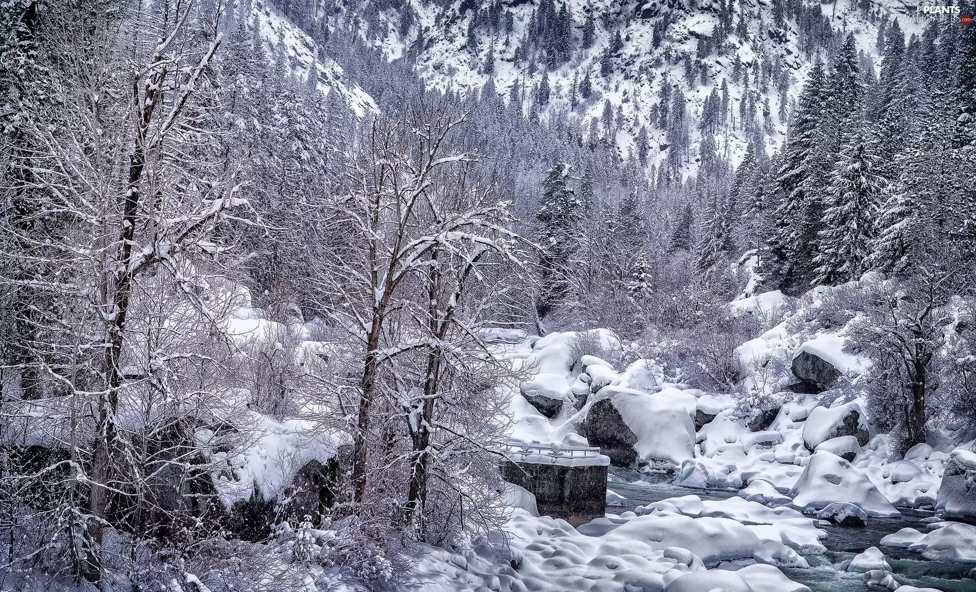 trees, winter, Stones, stream, viewes, Snowy
