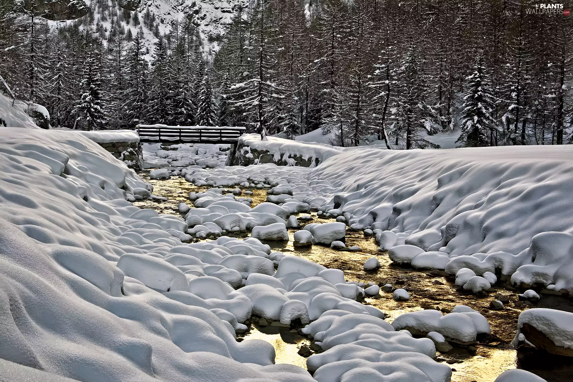 bridges, brook, trees, stream, winter, Stones, viewes